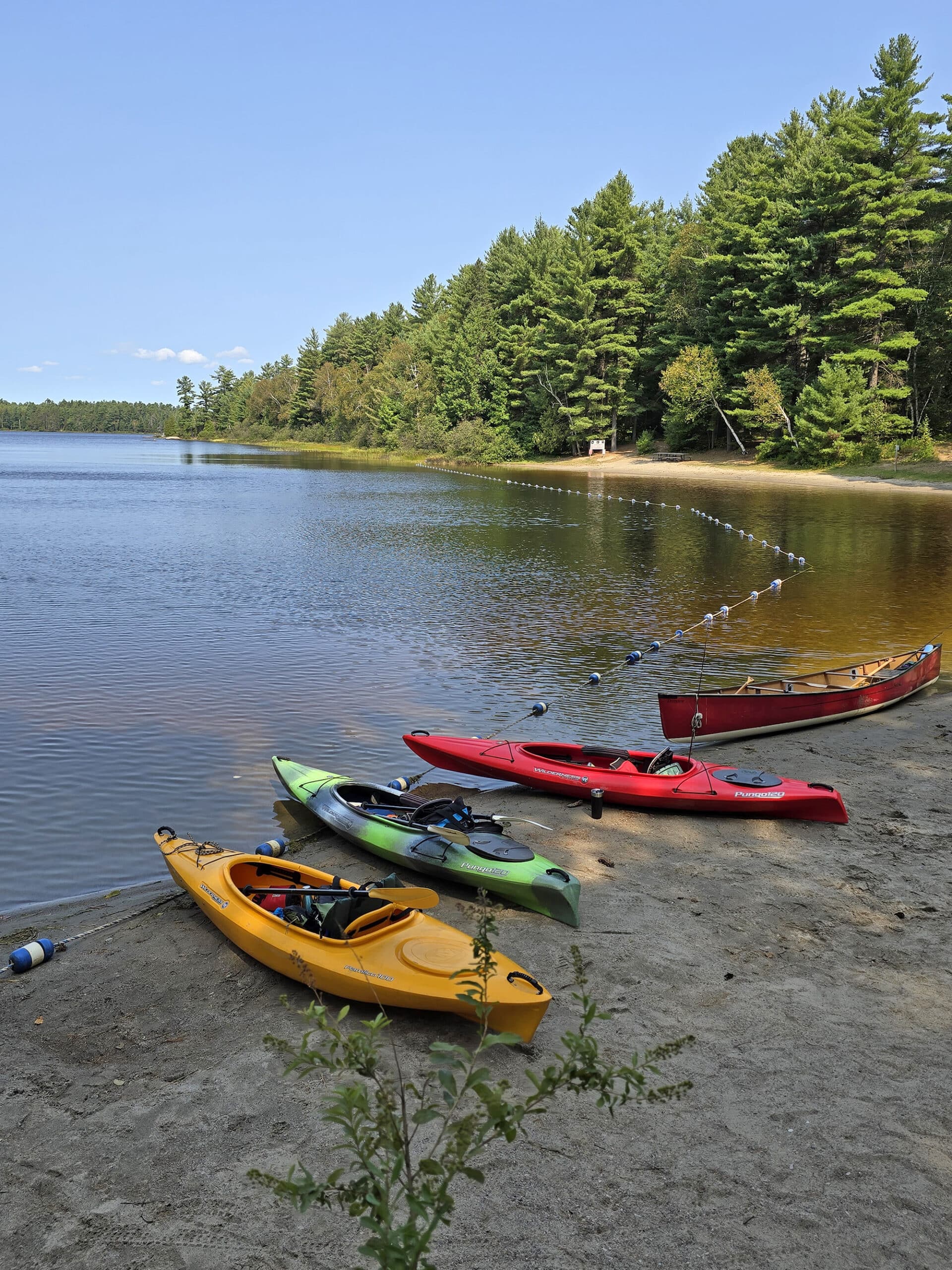 Several colourful canoes on the shore of Grundy Lake.