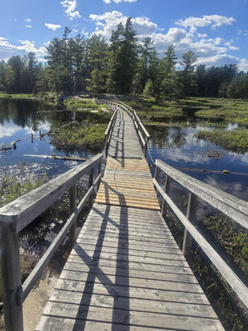 A boardwalk bridge over a Swan Lake at Grundy Lake Provincial Park.