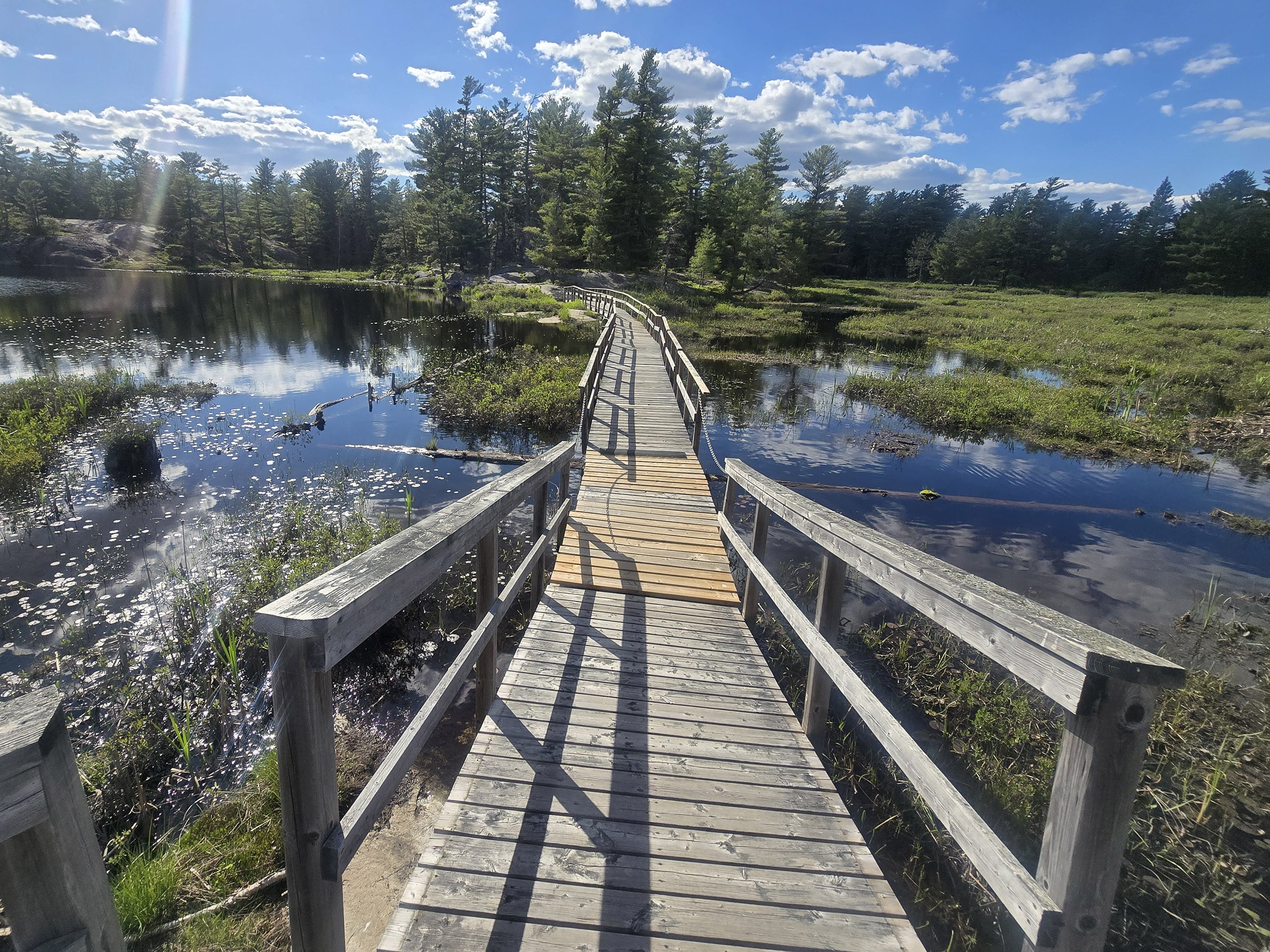 A boardwalk bridge over a Swan Lake at Grundy Lake Provincial Park.
