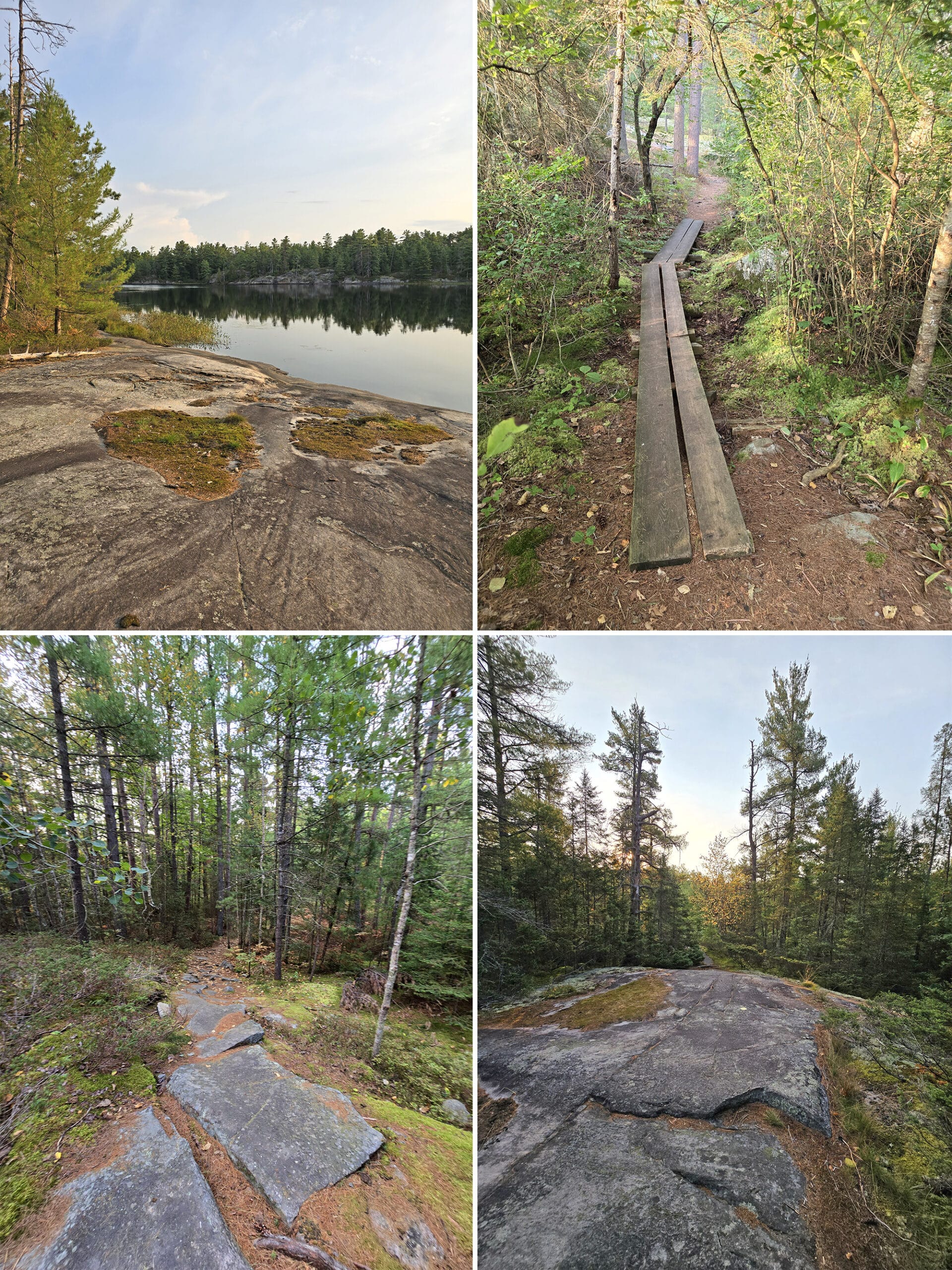 4 part image showing various views along the Gut Lake Trail at Grundy Lake Provincial Park.