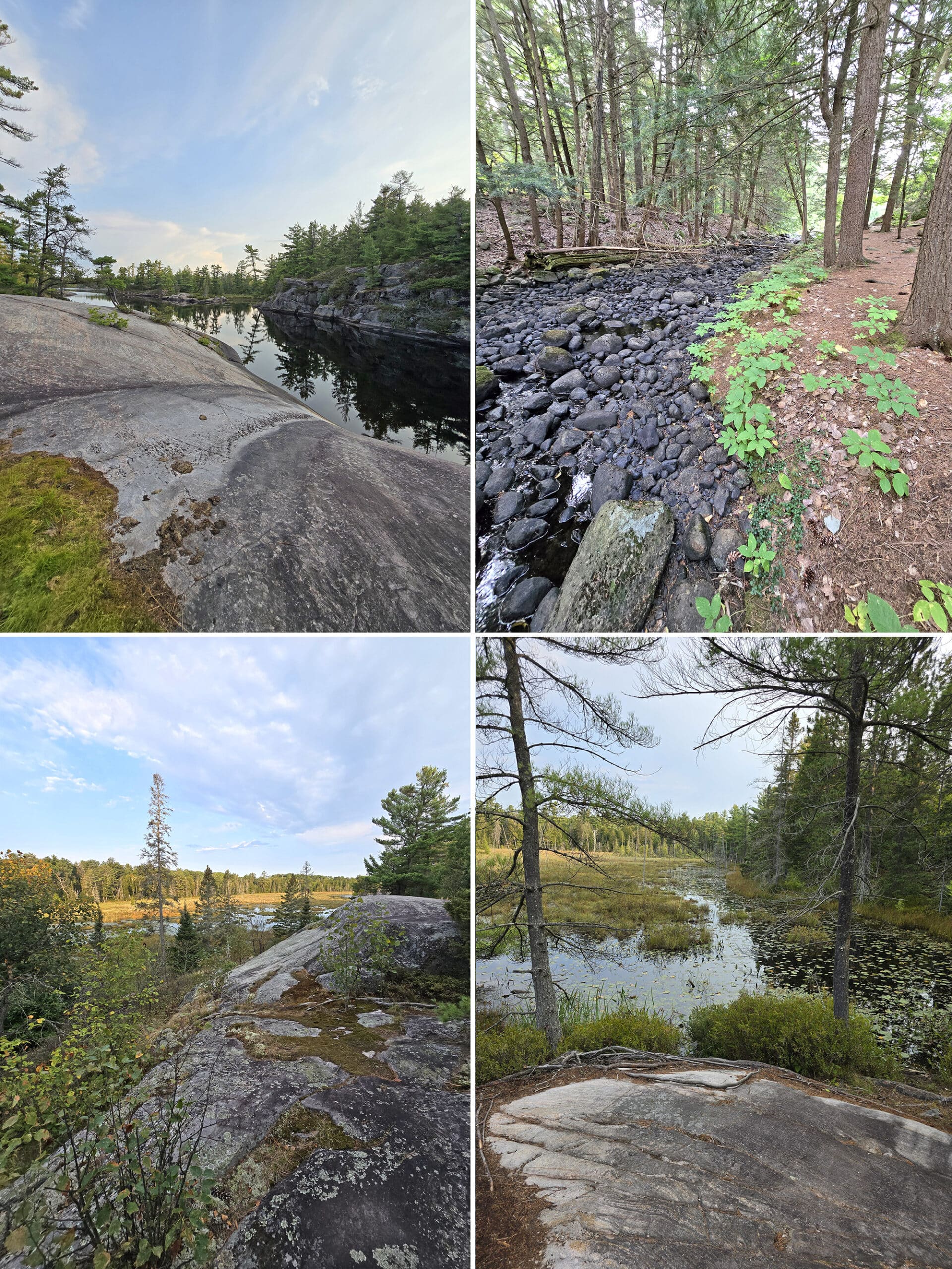 4 part image showing various views along the Gut Lake Trail at Grundy Lake Provincial Park.