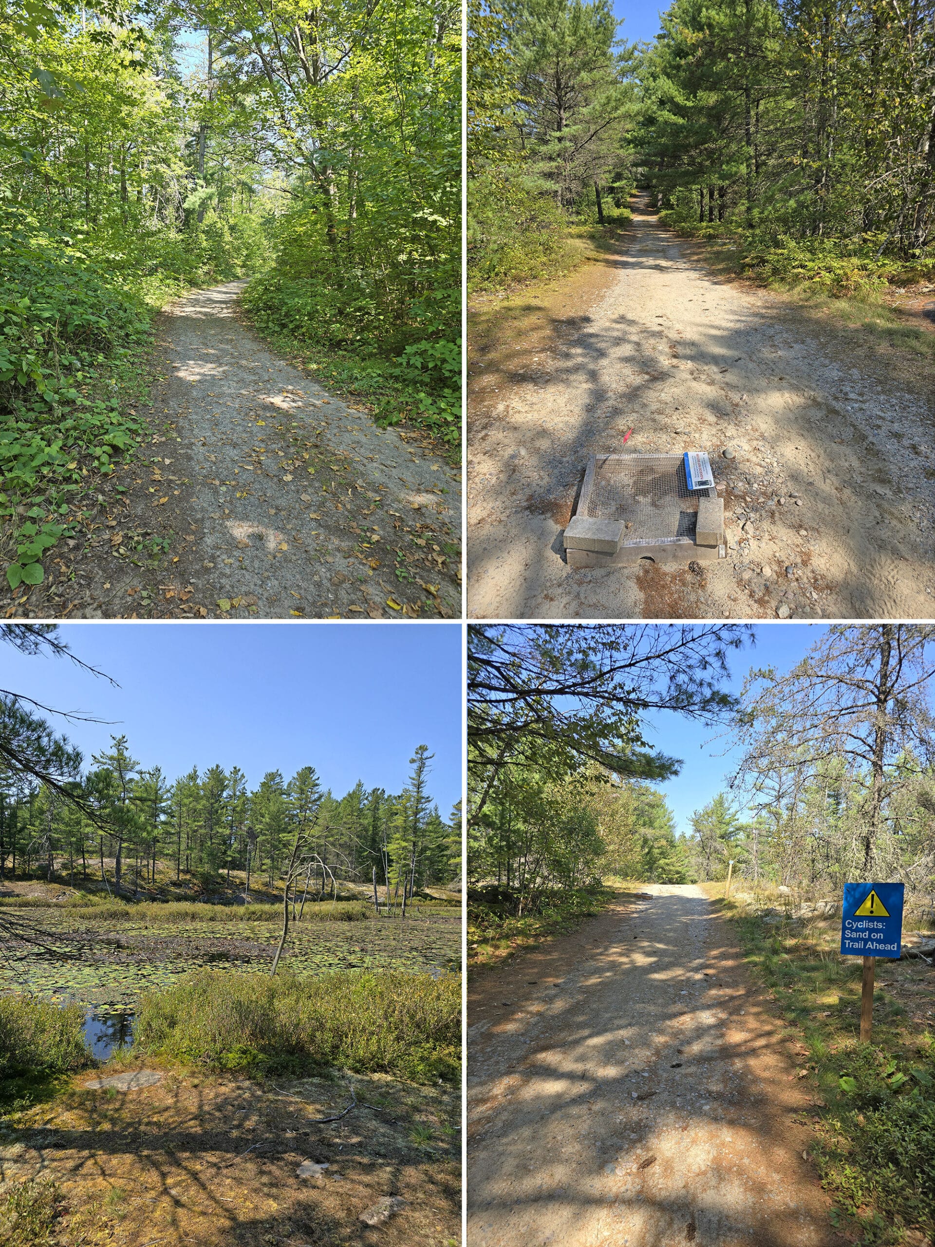 4 part image showing various views along the Pakeshkag Lake Trail at Grundy Lake Provincial Park.