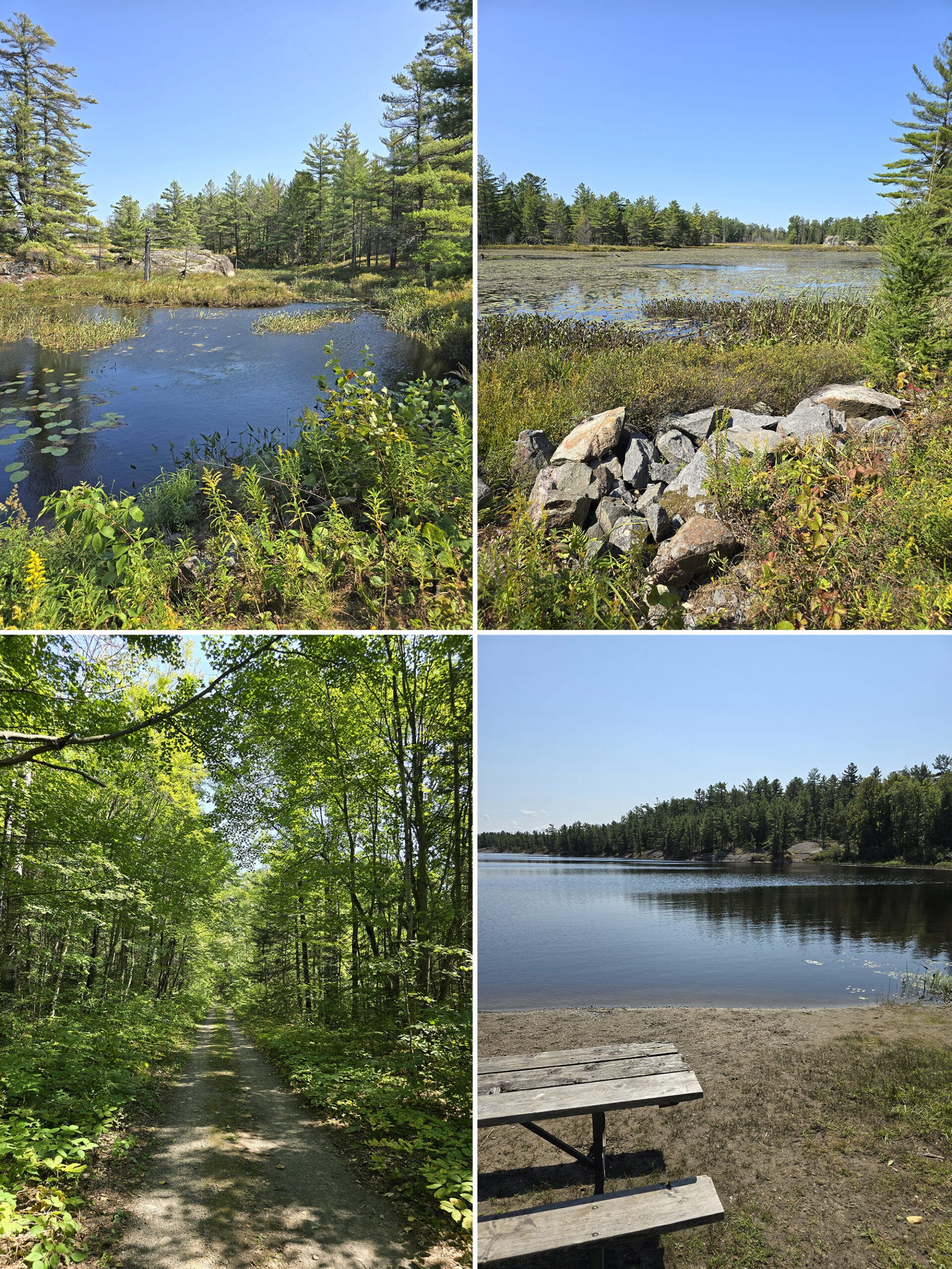 4 part image showing various views along the Pakeshkag Lake Trail at Grundy Lake Provincial Park.