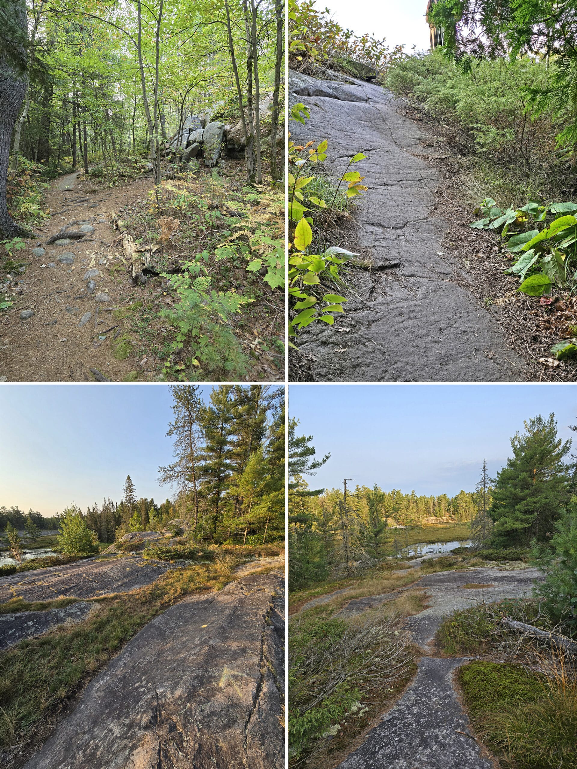 4 part image showing various views along the Swan Lake Trail at Grundy Lake Provincial Park.