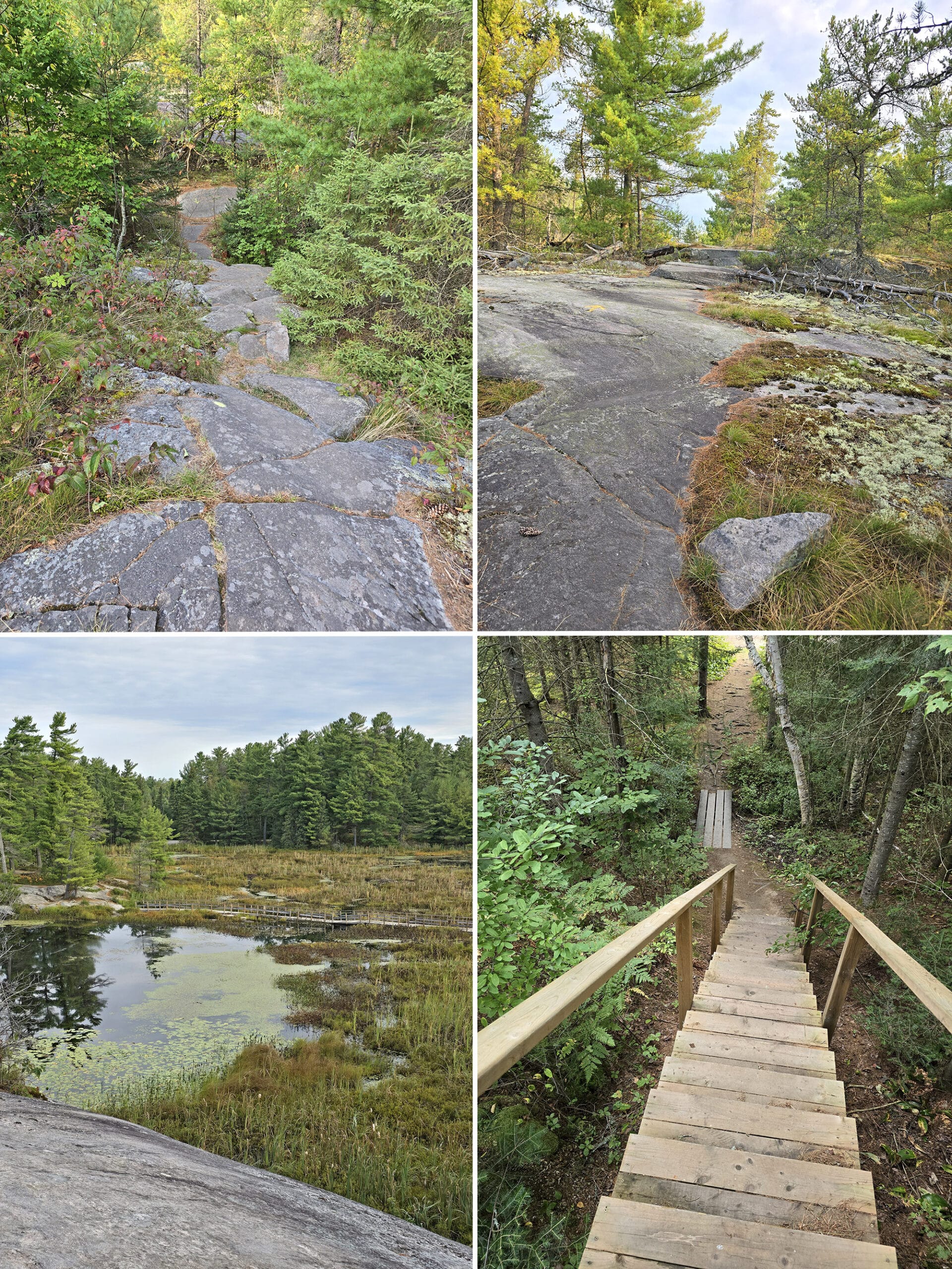 4 part image showing various views along the Swan Lake Trail at Grundy Lake Provincial Park.