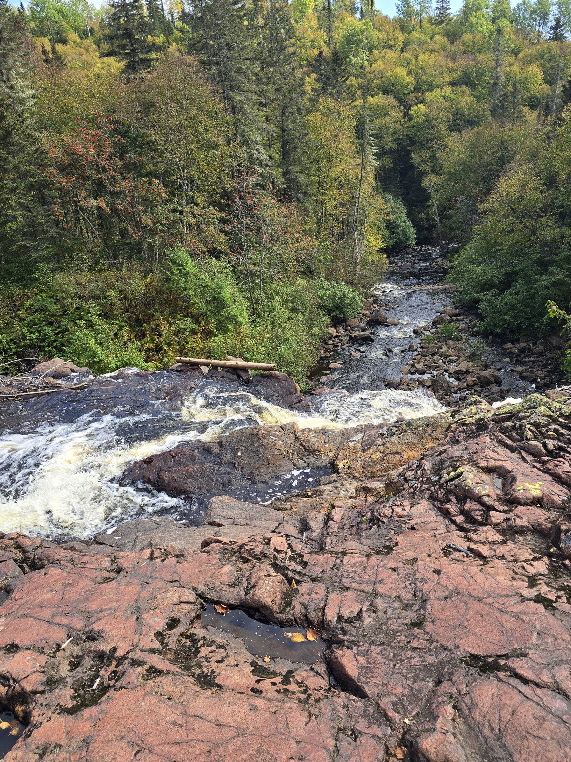 Looking down over mink creek, from the top of mink creek falls.