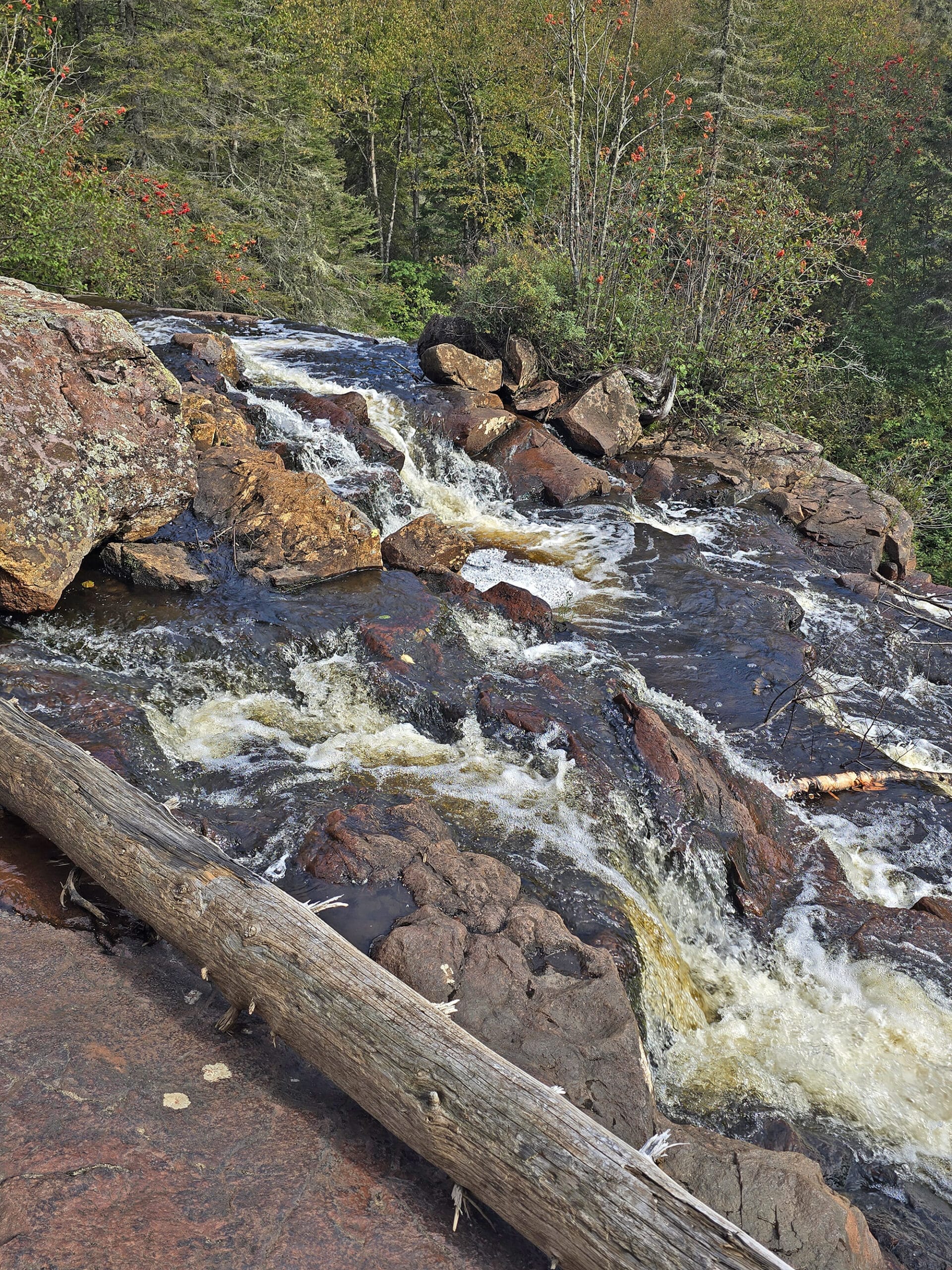 Looking down over mink creek, from the top of mink creek falls.