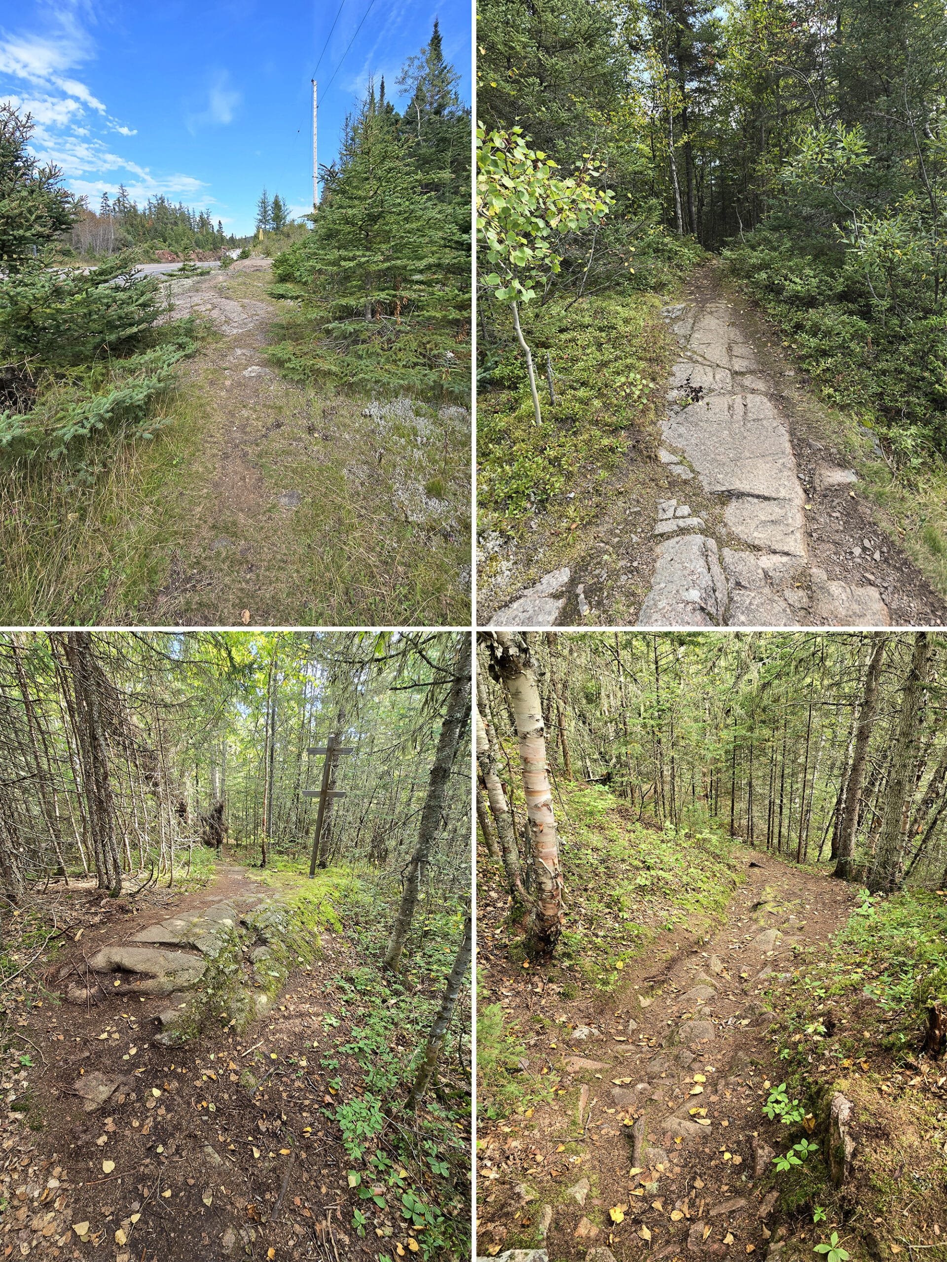 4 part image showing various views of the mink creek falls trail.