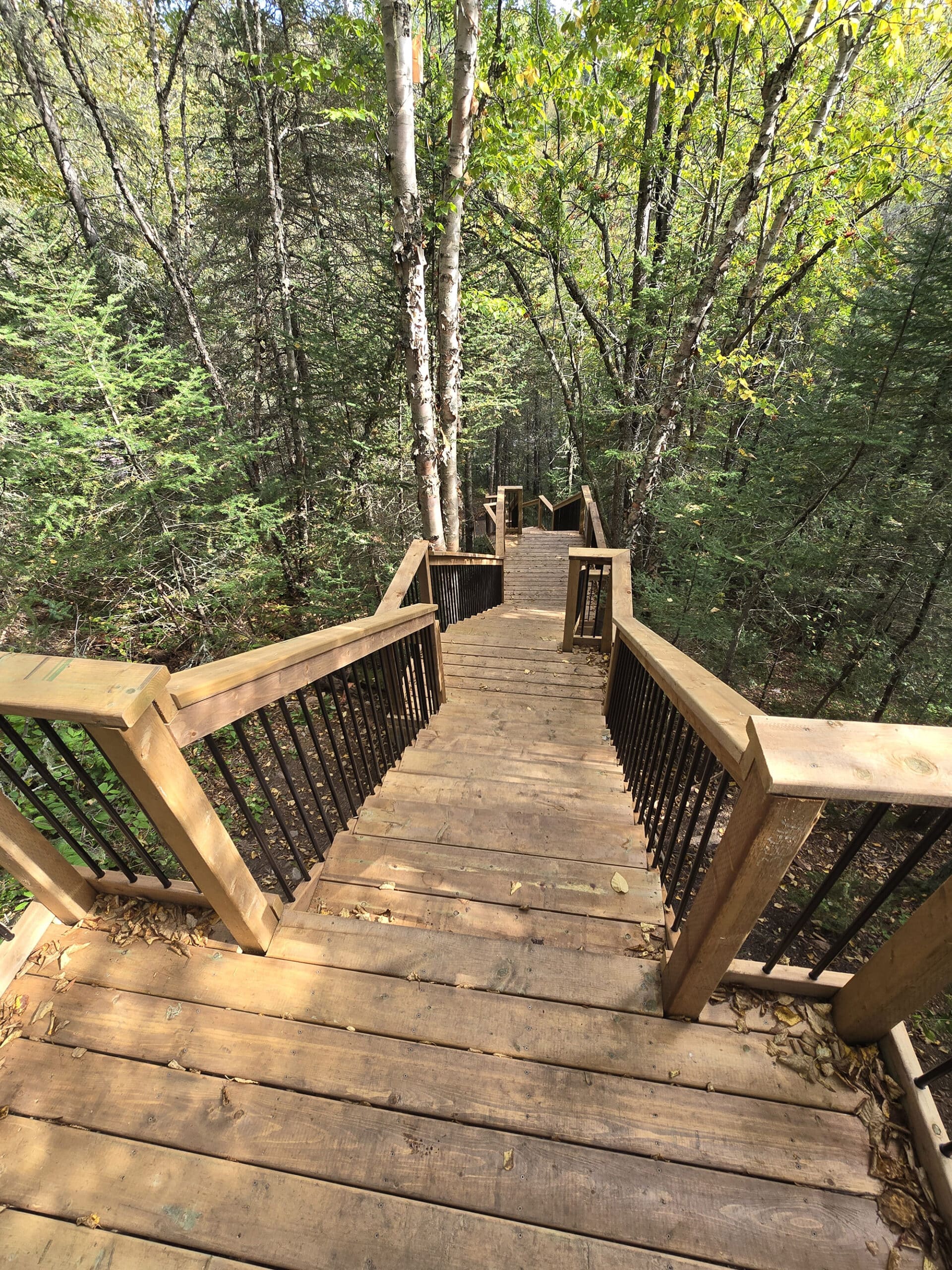 A long wooden staircase on a trail.