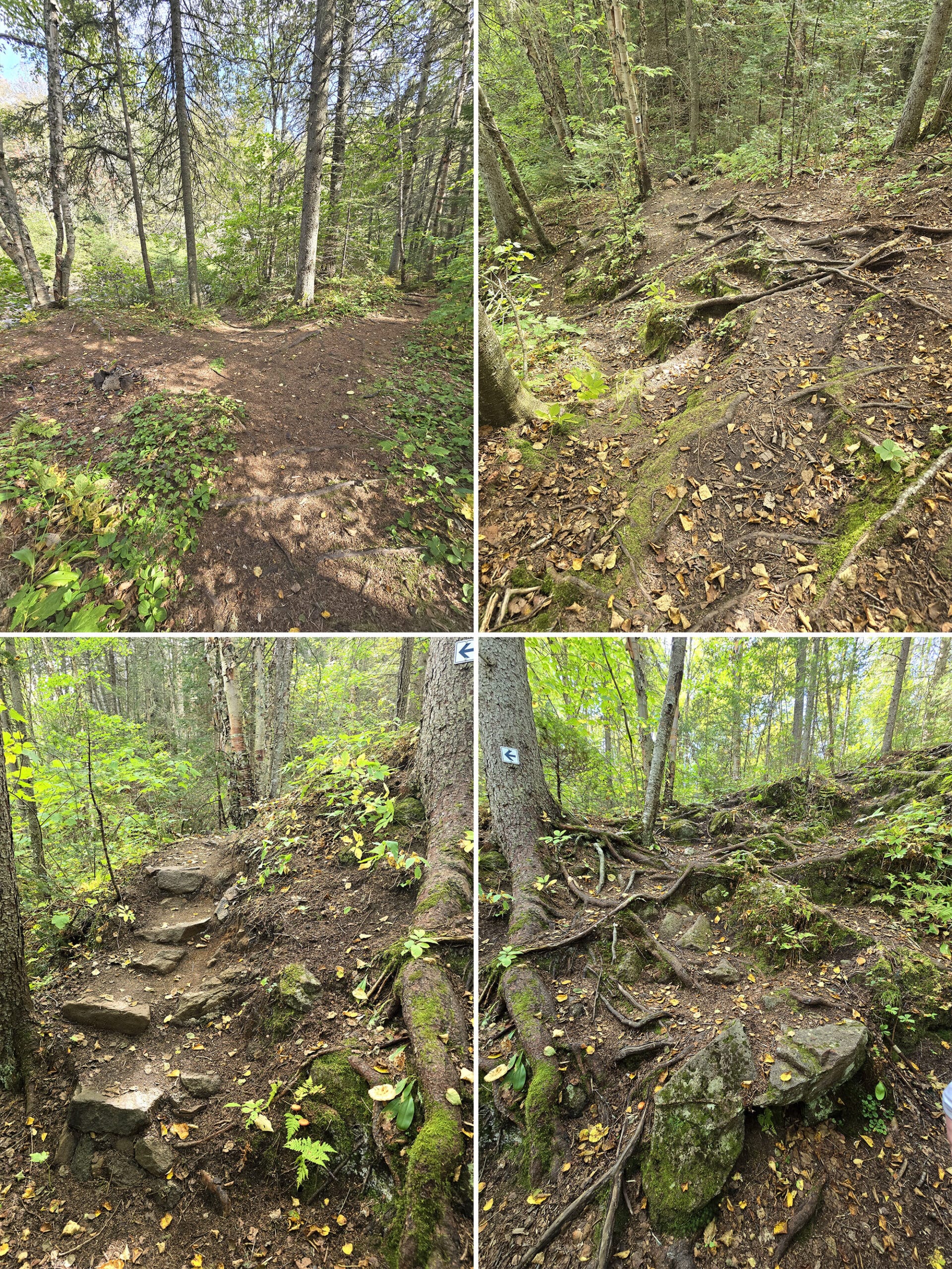 4 part image showing various views of the mink creek falls trail.