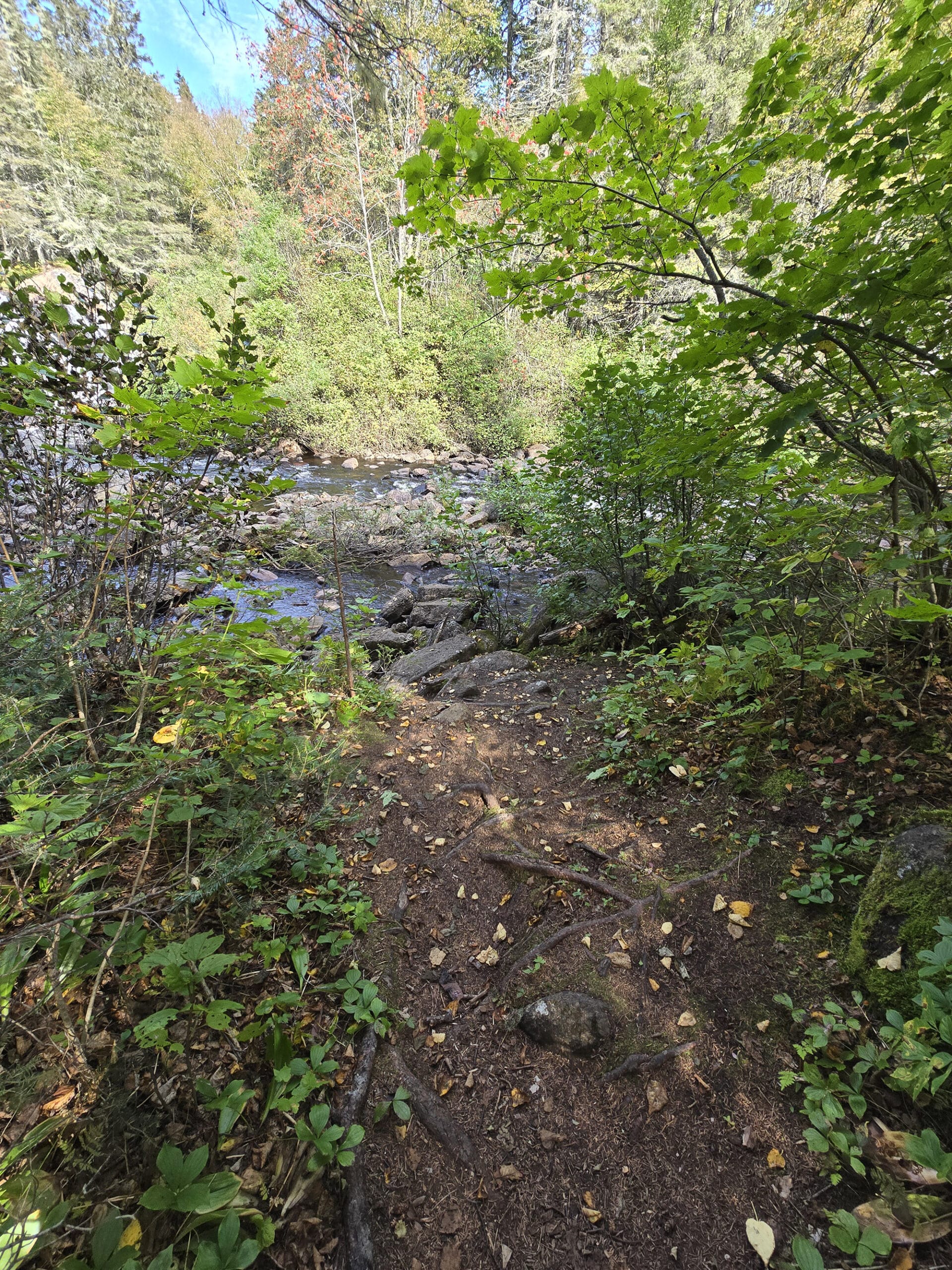 A creek in the background, behind some trees.