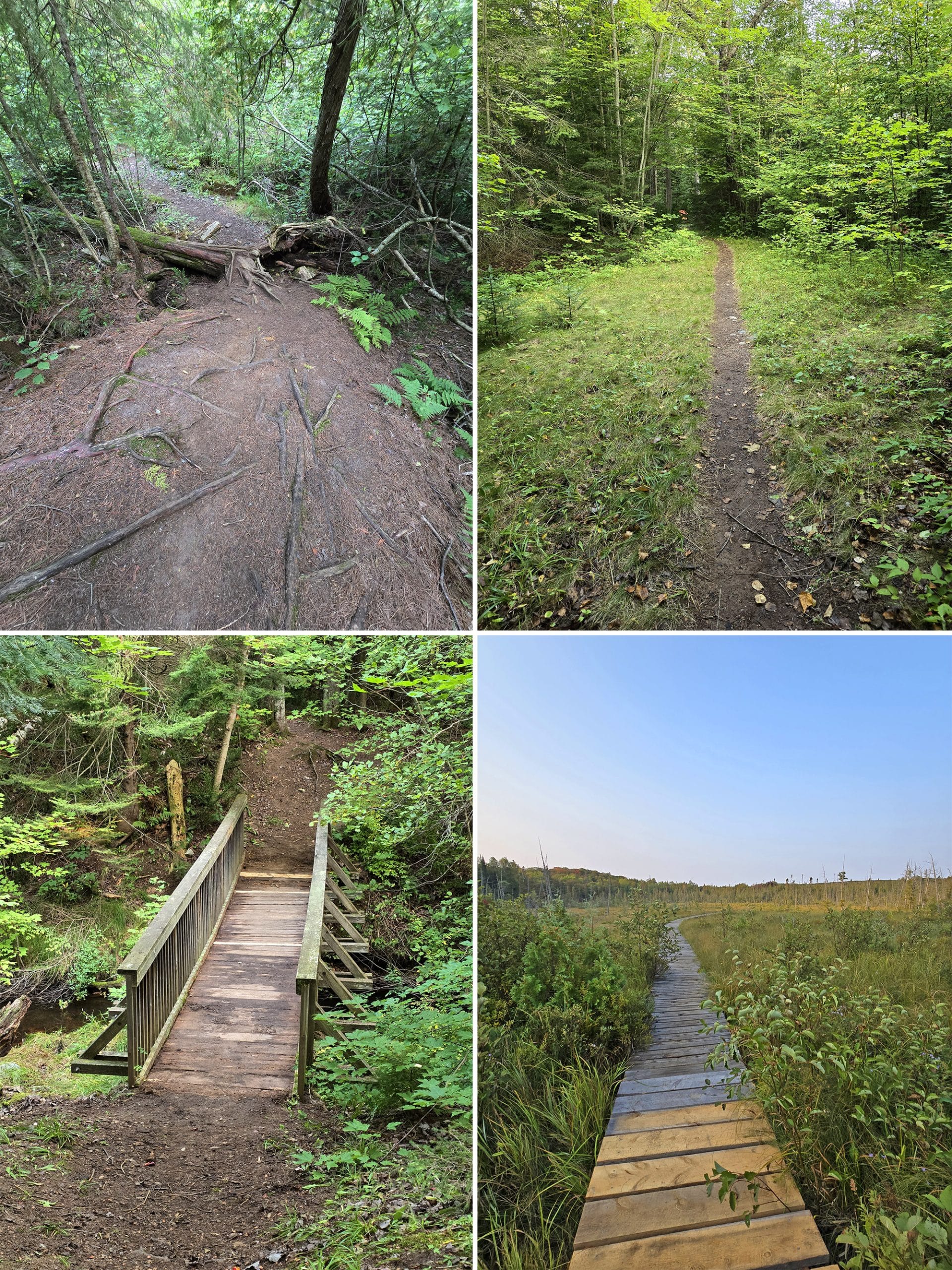 4 part image showing various views along the pancake bay nature trail.