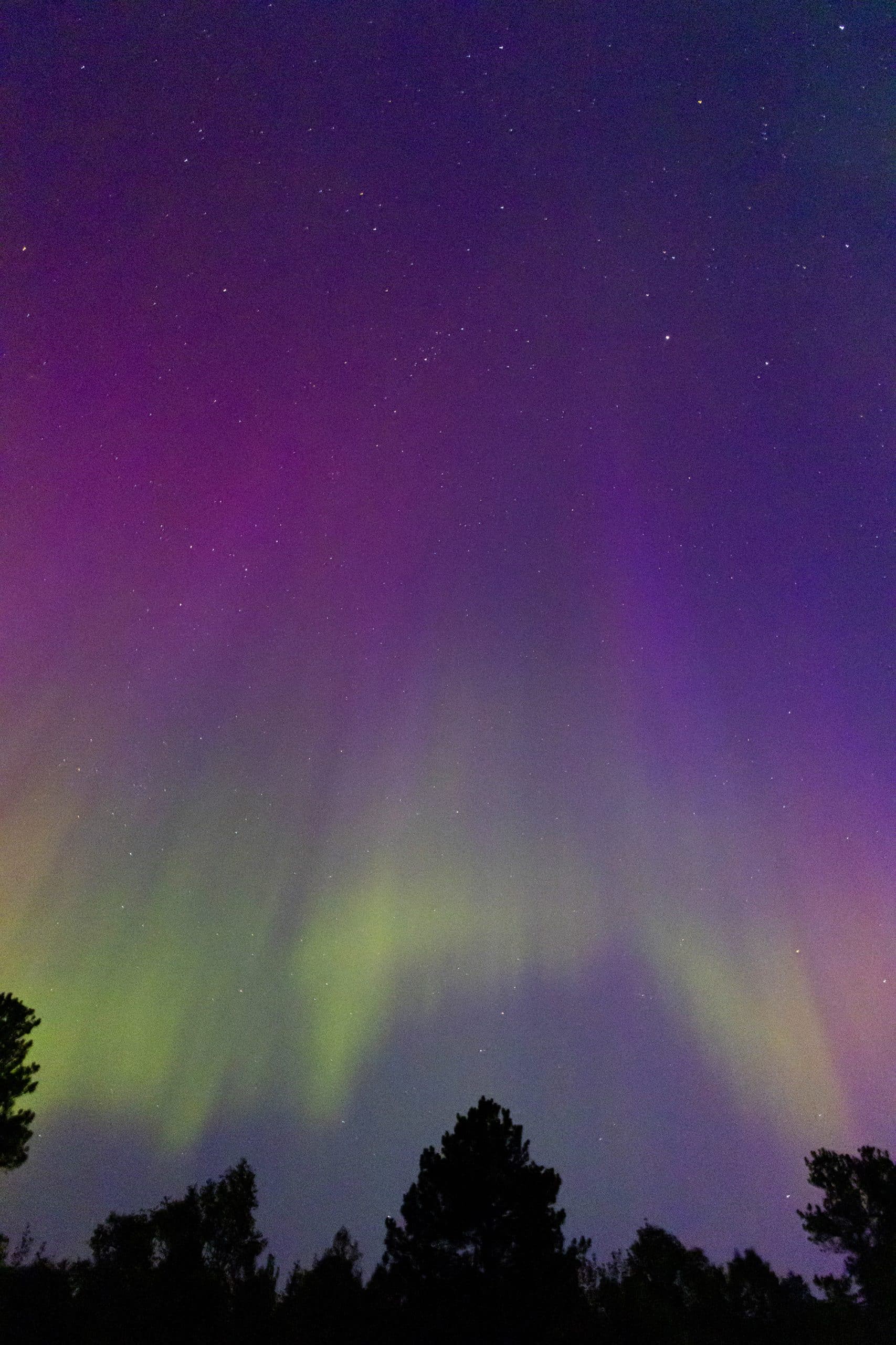 The aurora borealis over pancake bay provincial park.