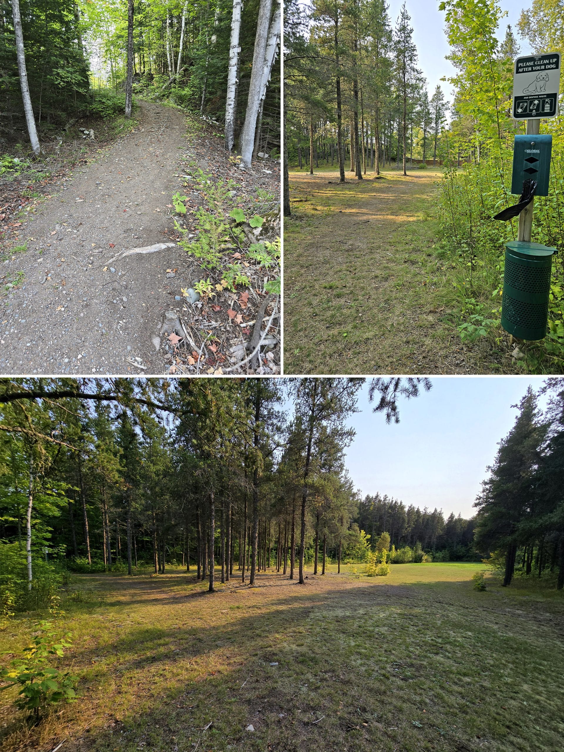 3 part image showing the pancake bay provincial park dog exercise area.