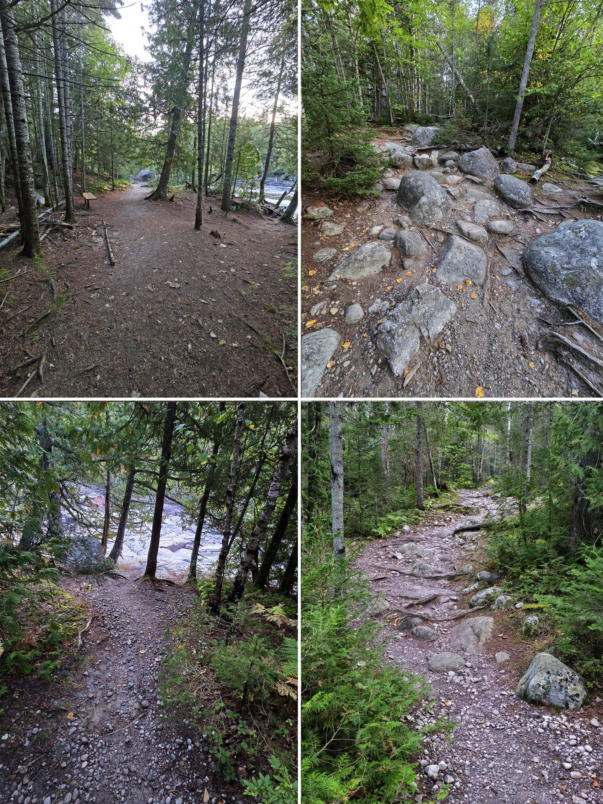 4 part image showing various views along the pinguisibi trail.