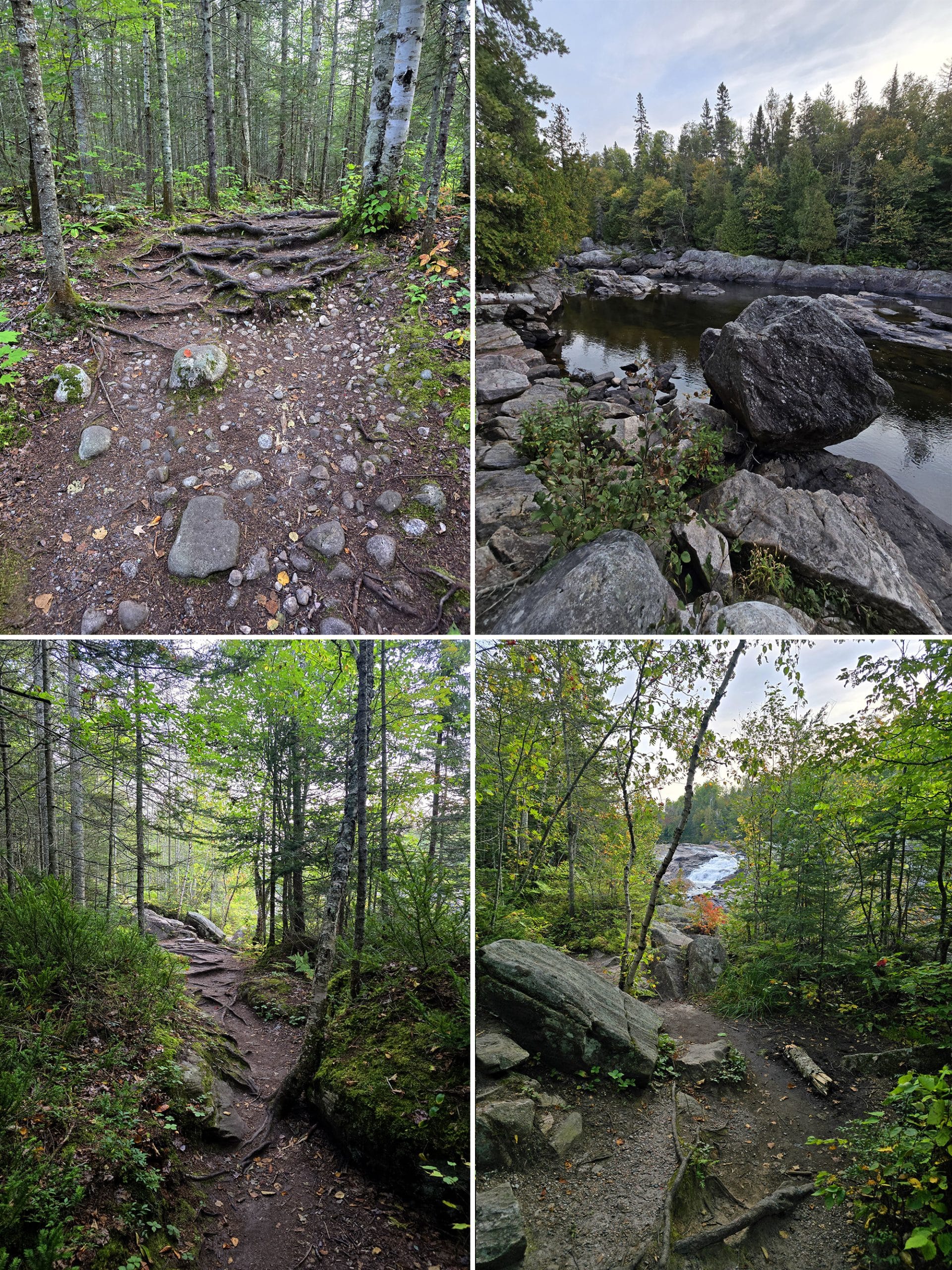 4 part image showing various views along the pinguisibi trail.