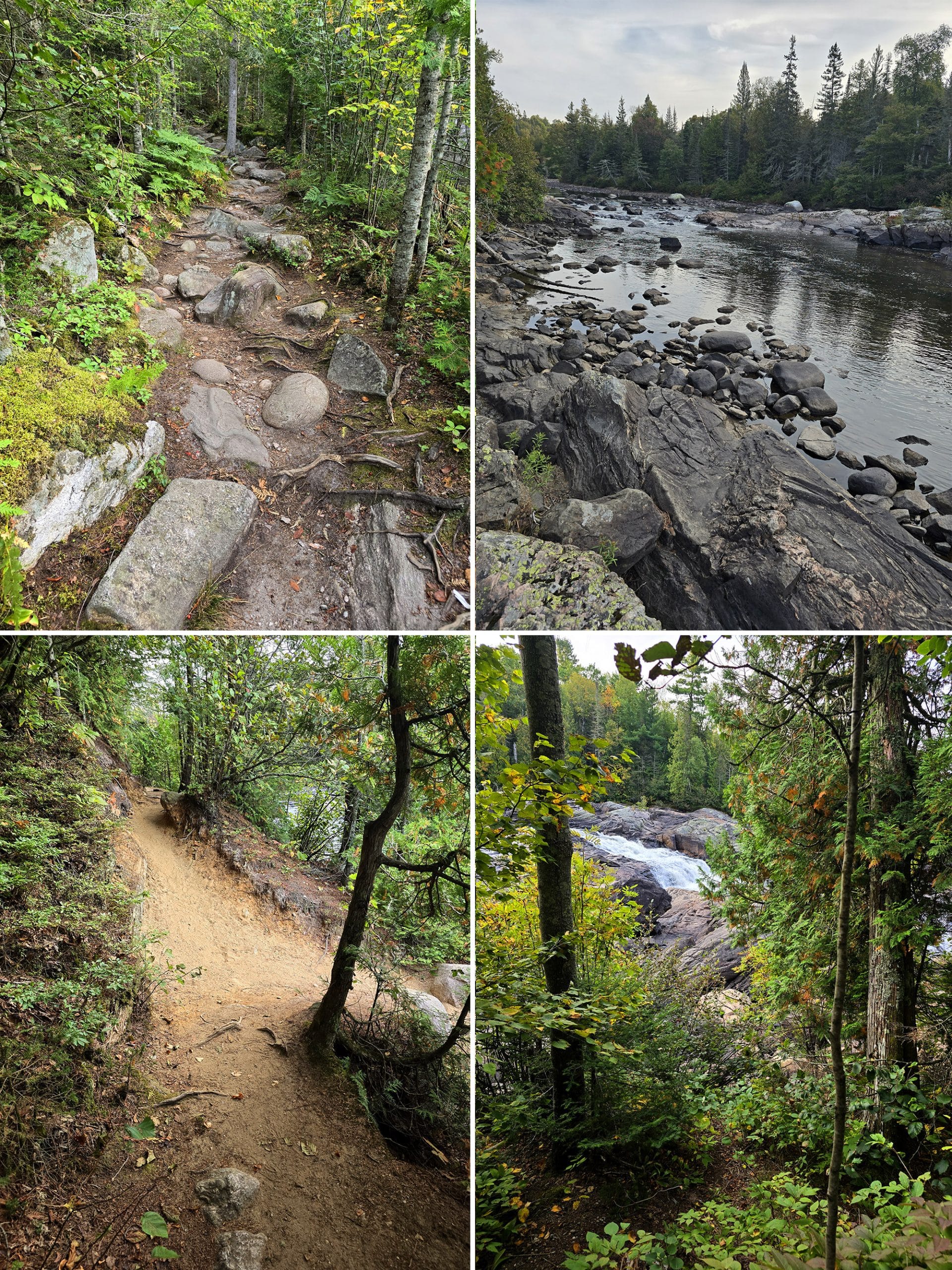 4 part image showing various views along the pinguisibi trail.