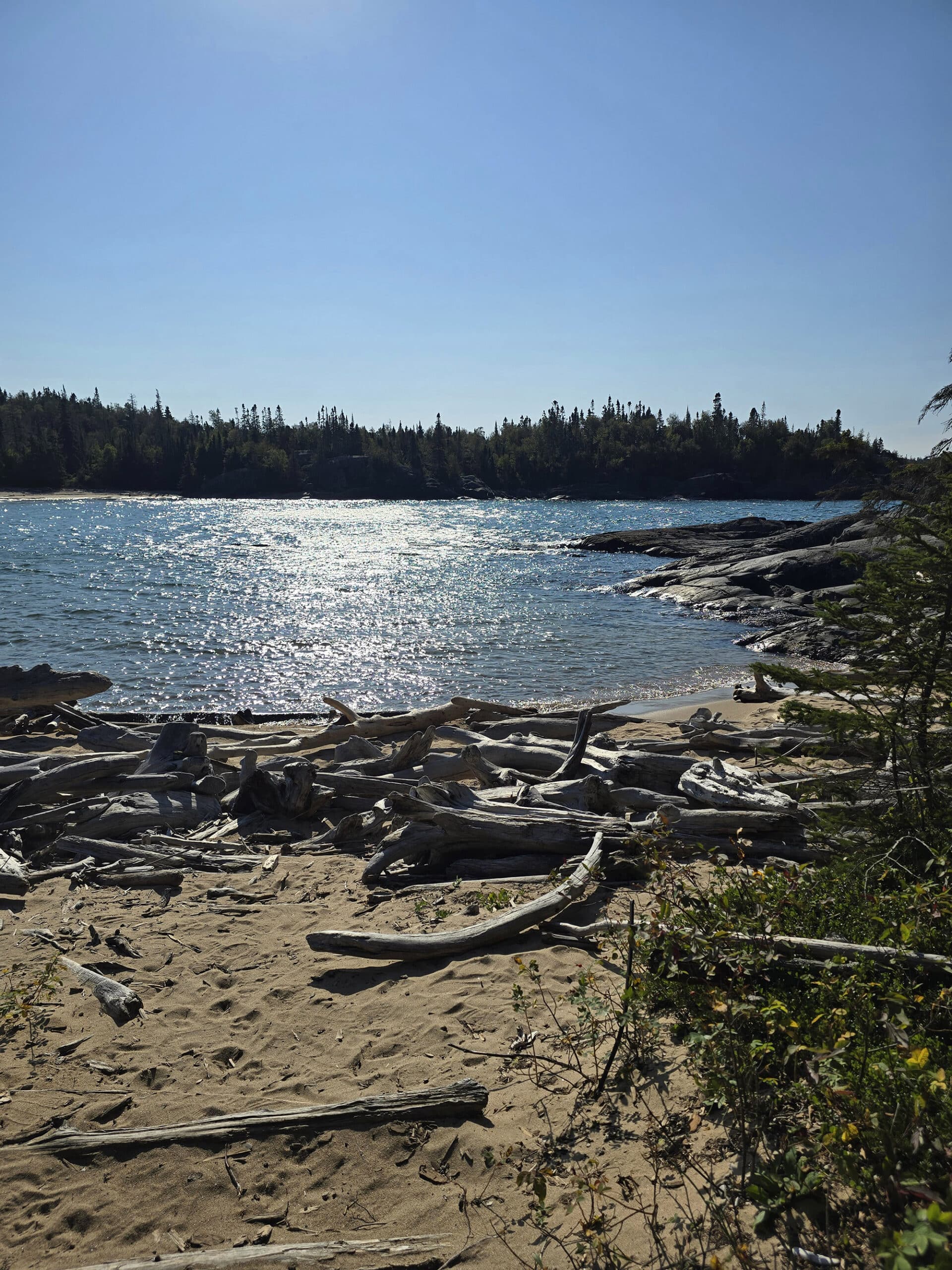 Driftwood on a lake superior beach.