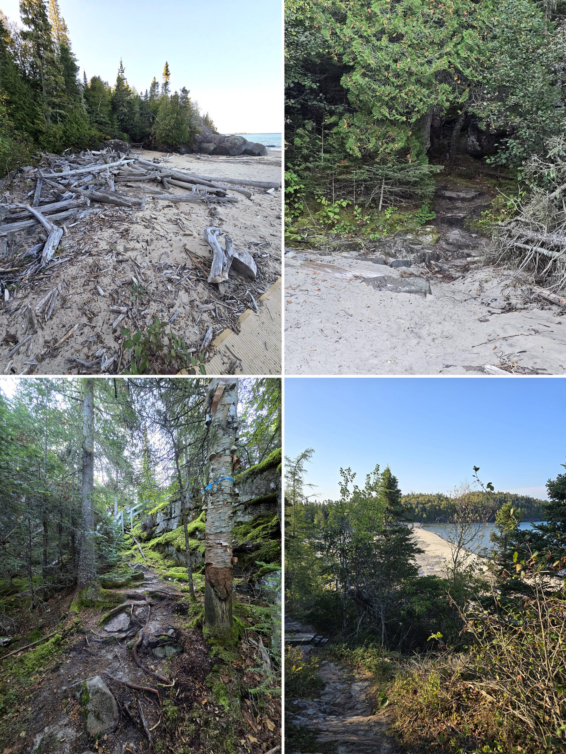 4 part image showing various views along the Beach Trail at Pukaskwa National Park.