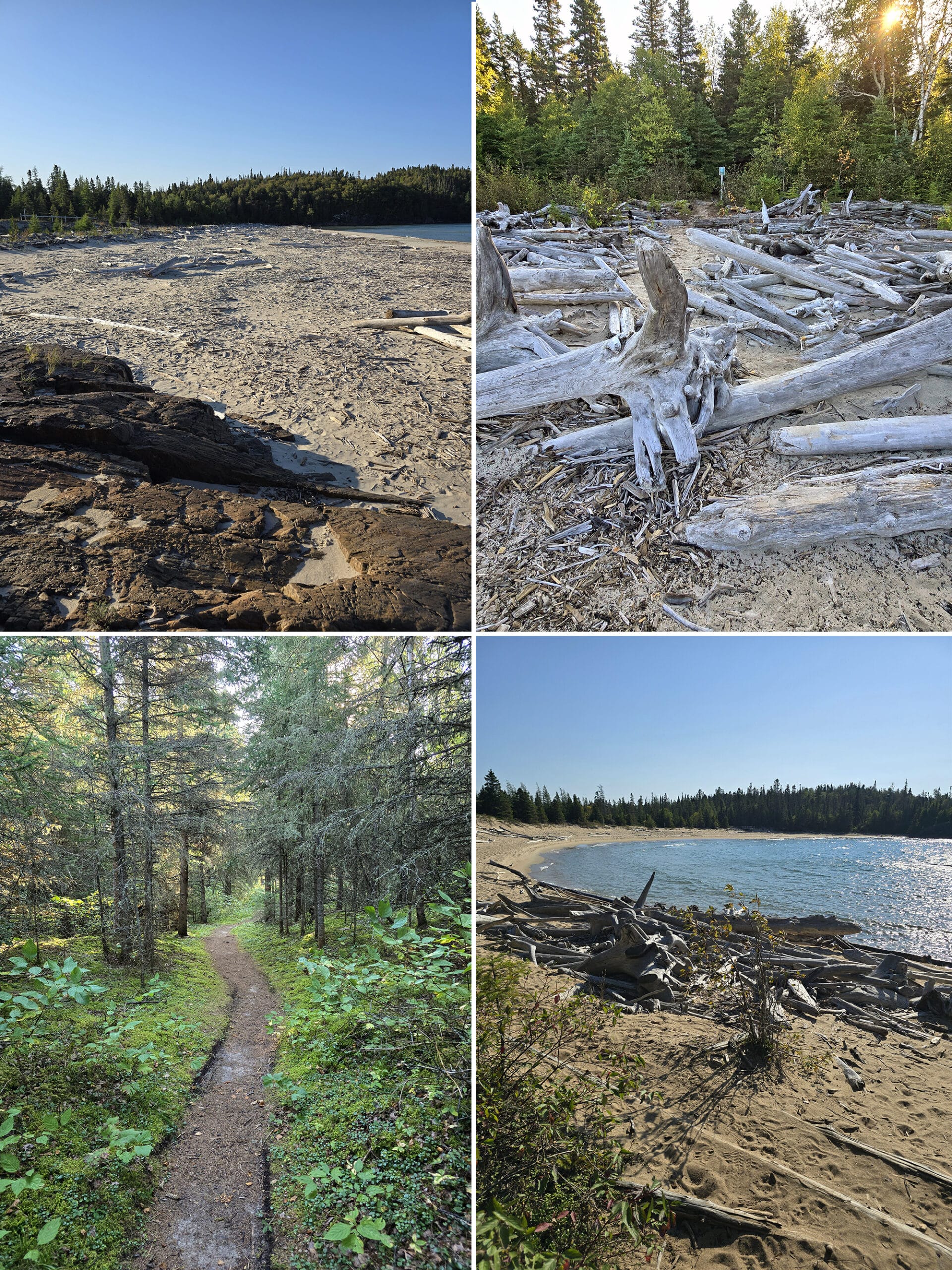 4 part image showing various views along the Beach Trail at Pukaskwa National Park.