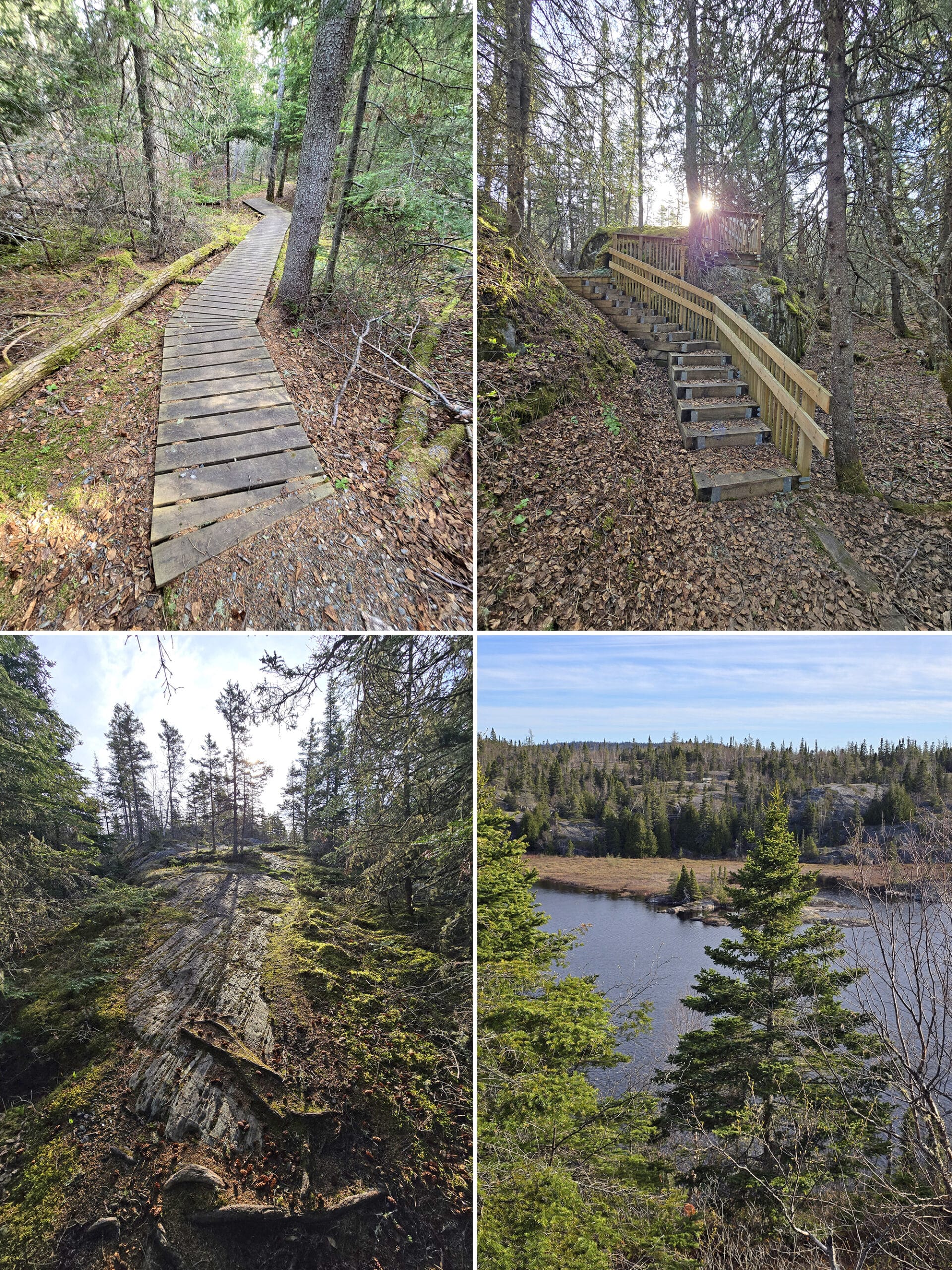 4 part image showing various views along the Bimose Kinoomagewnan Hiking Trail at Pukaskwa National Park.