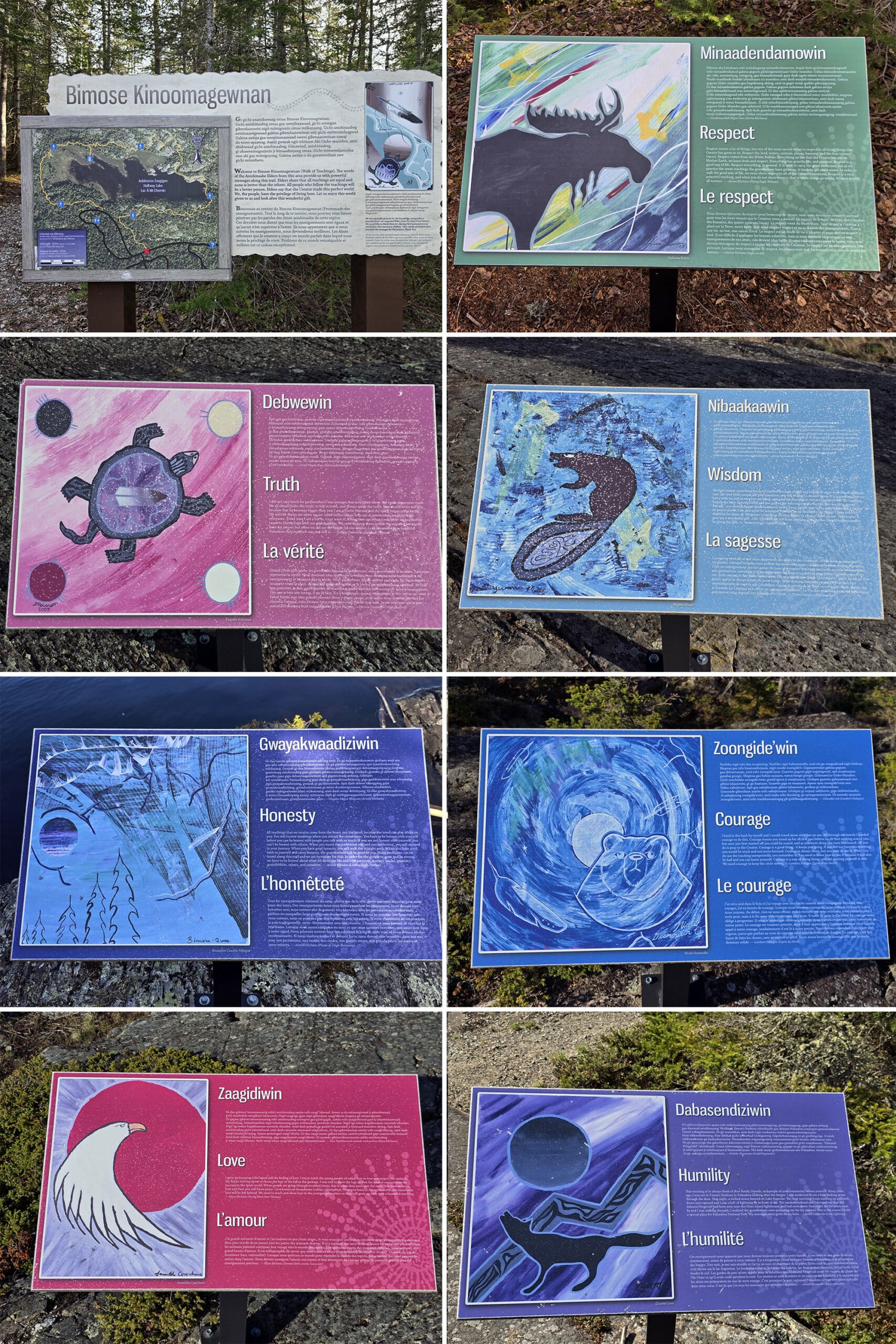 8 part image showing various colourful educational trail signs talking about Anishinaabe teachings.