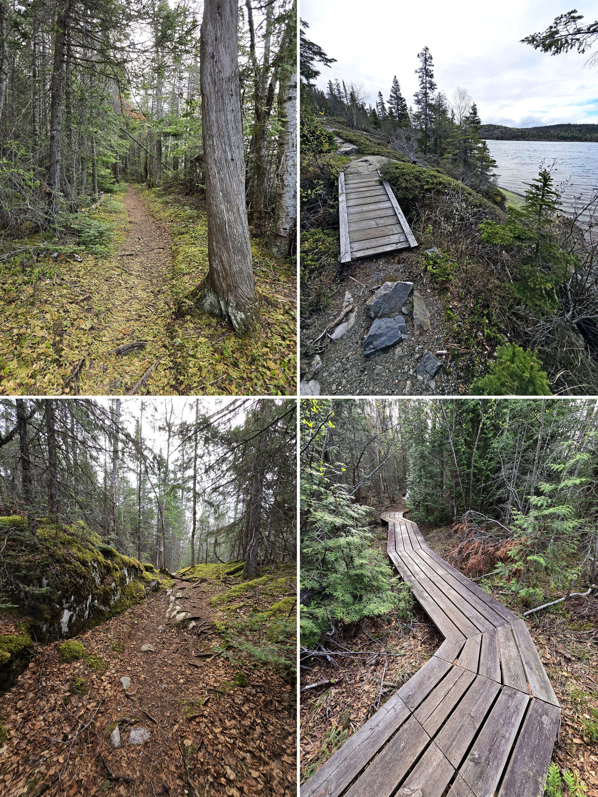 4 part image showing various views along the Coastal Hiking Trail at Pukaskwa National Park.