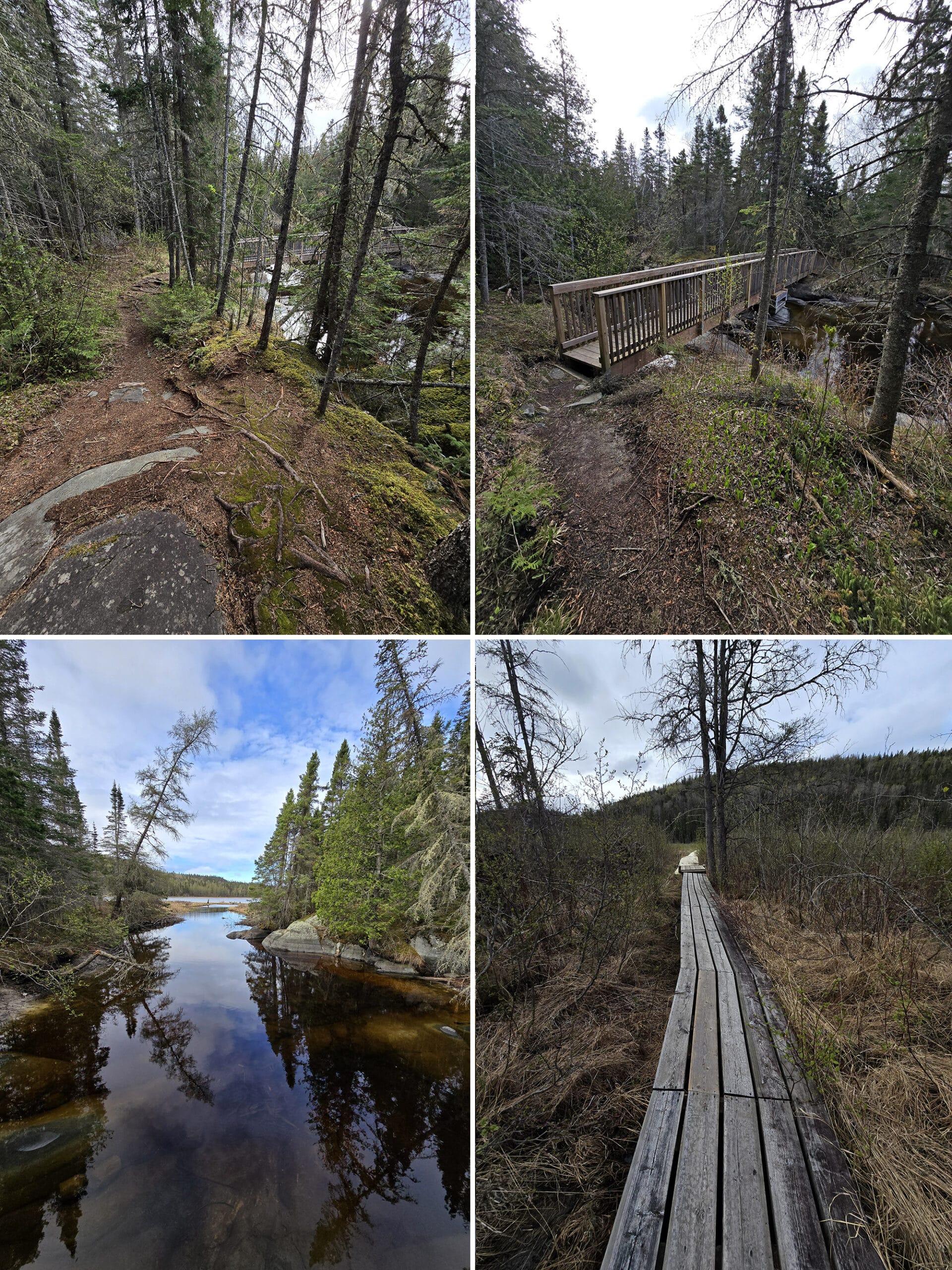 4 part image showing various views along the Coastal Hiking Trail at Pukaskwa National Park.