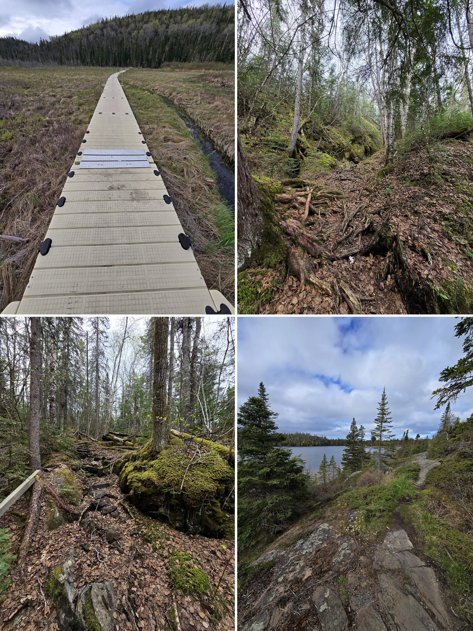 4 part image showing various views along the Coastal Hiking Trail at Pukaskwa National Park.