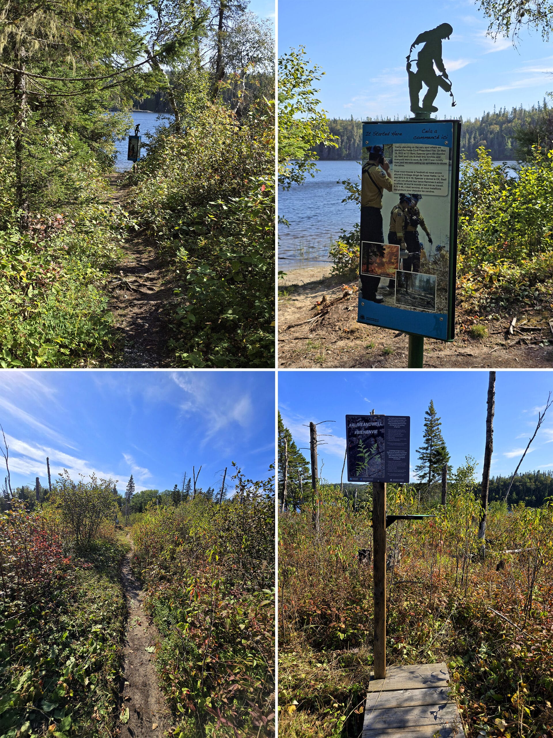 4 part image showing various views along the Fire Walk Trail at Pukaskwa National Park.