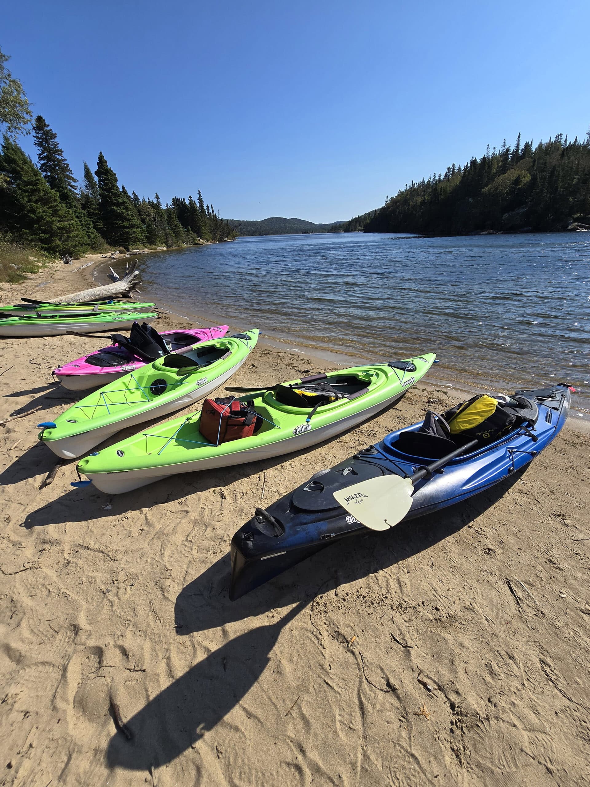 Several brightly coloured kayaks on the shore at Hattie Cove