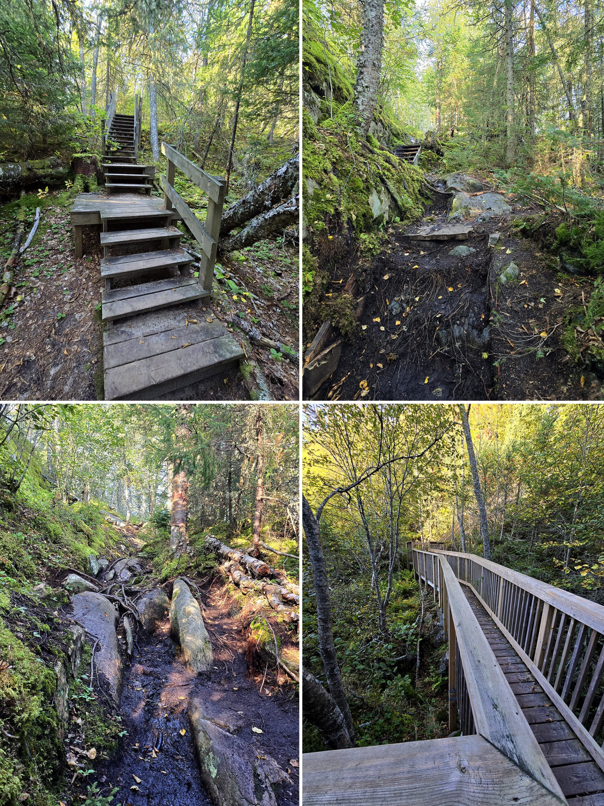 4 part image showing various views along the Manito Miikana Trail at Pukaskwa National Park.