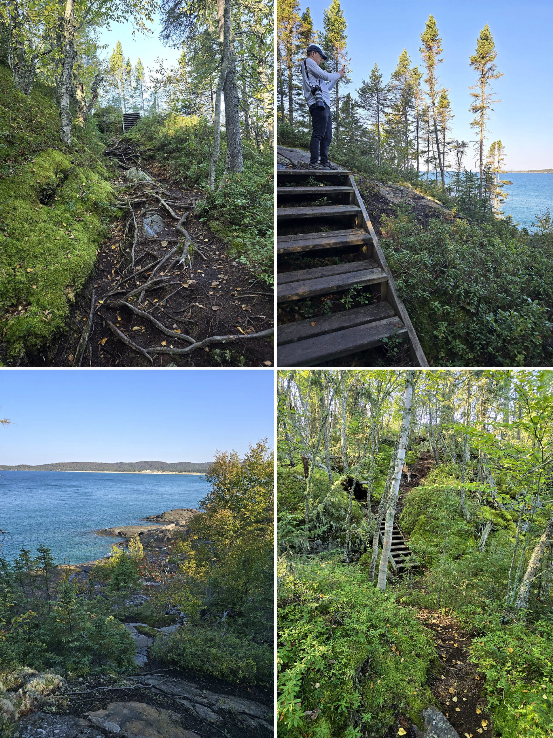 4 part image showing various views along the Manito Miikana Trail at Pukaskwa National Park.