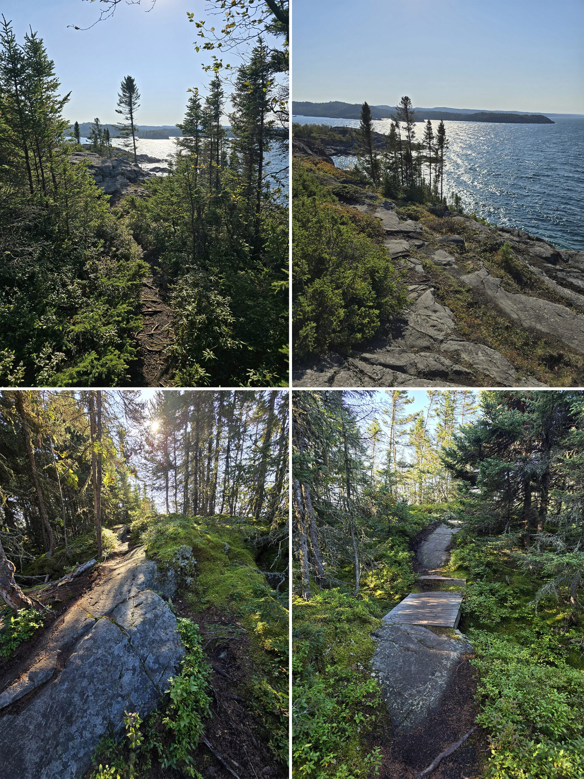 4 part image showing various views along the Manito Miikana Trail at Pukaskwa National Park.