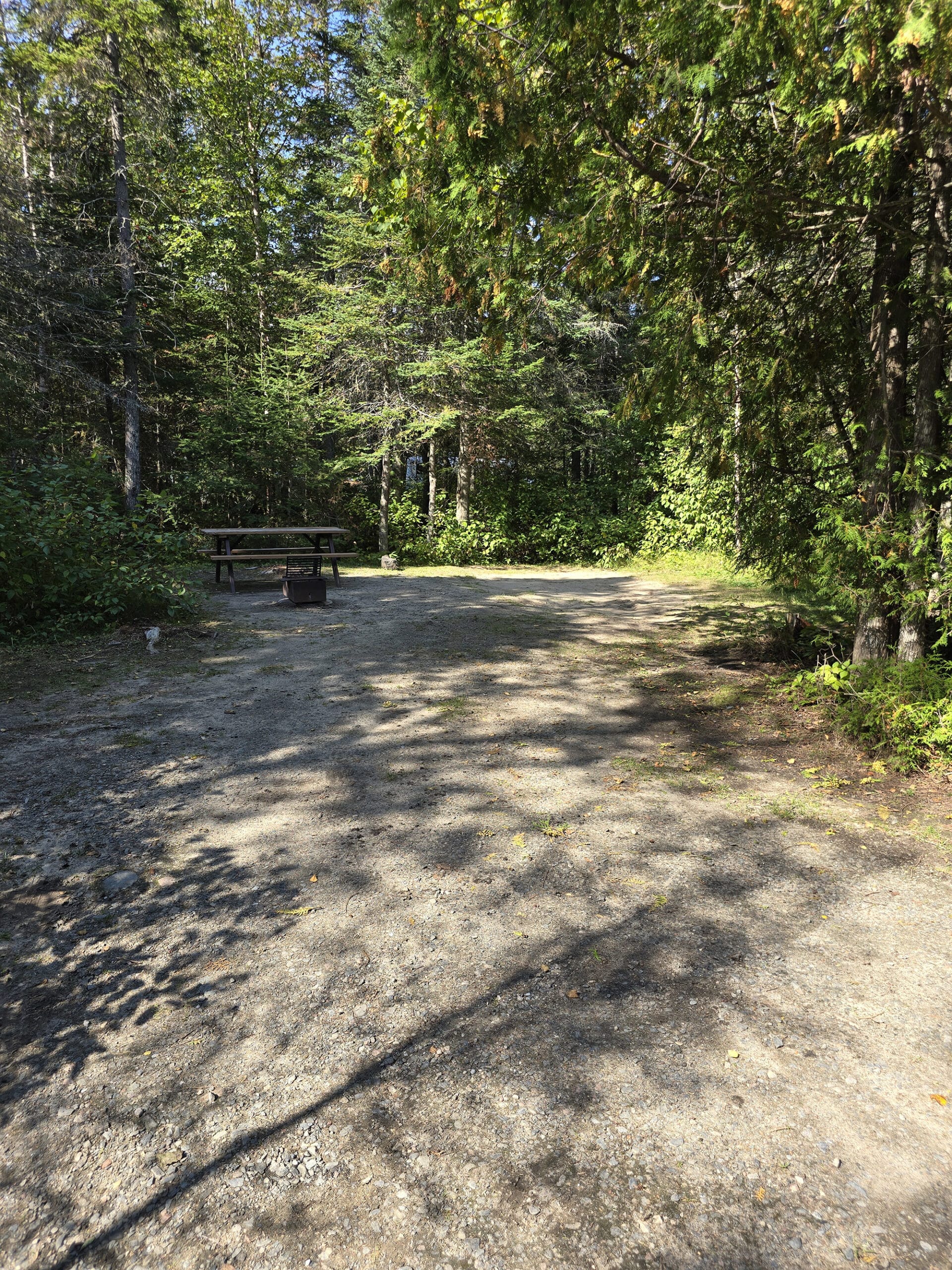 A well shaded campsite at pukaskwa national park.