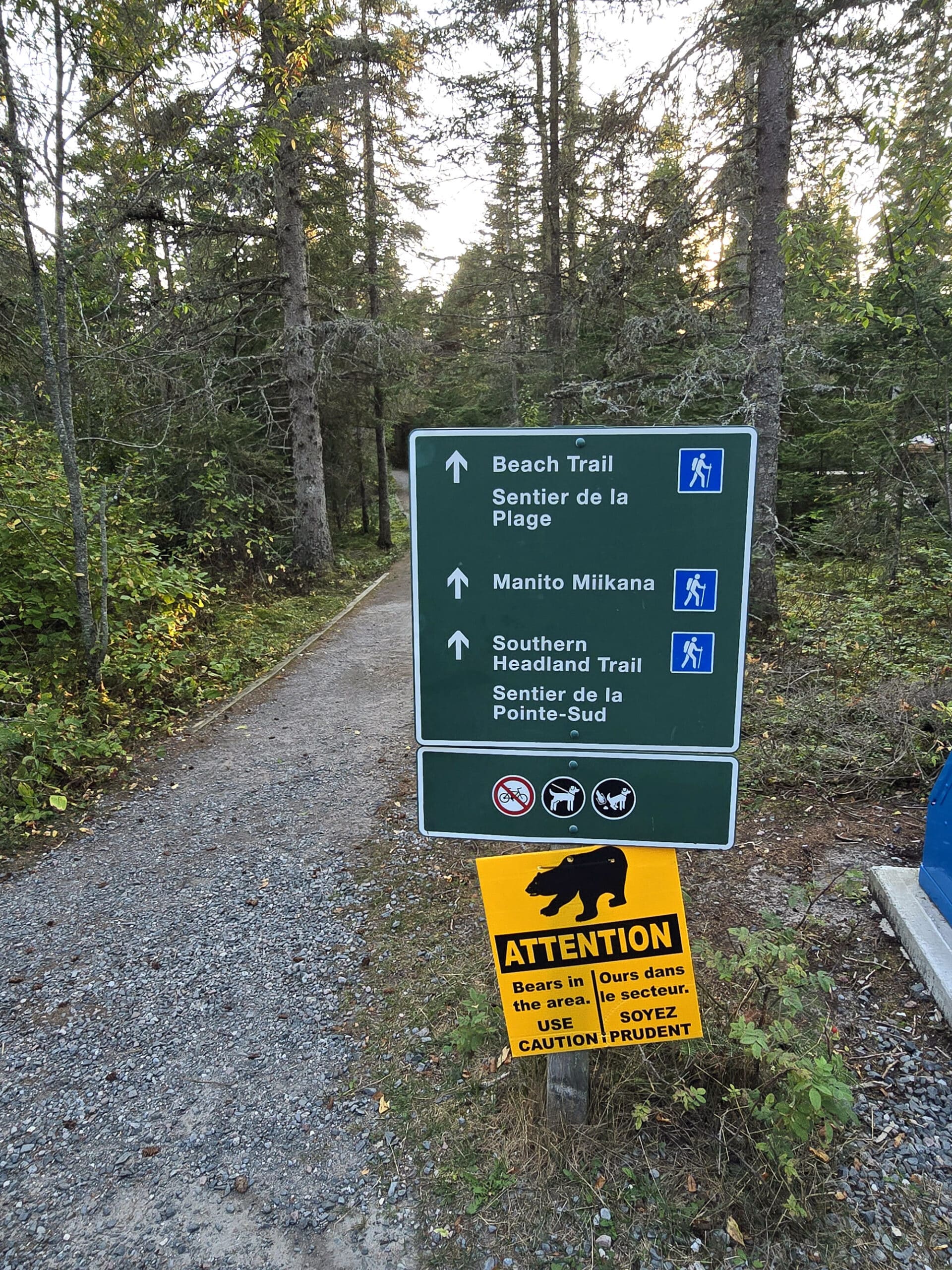 A green campground sign with white writing, in front of a trail.