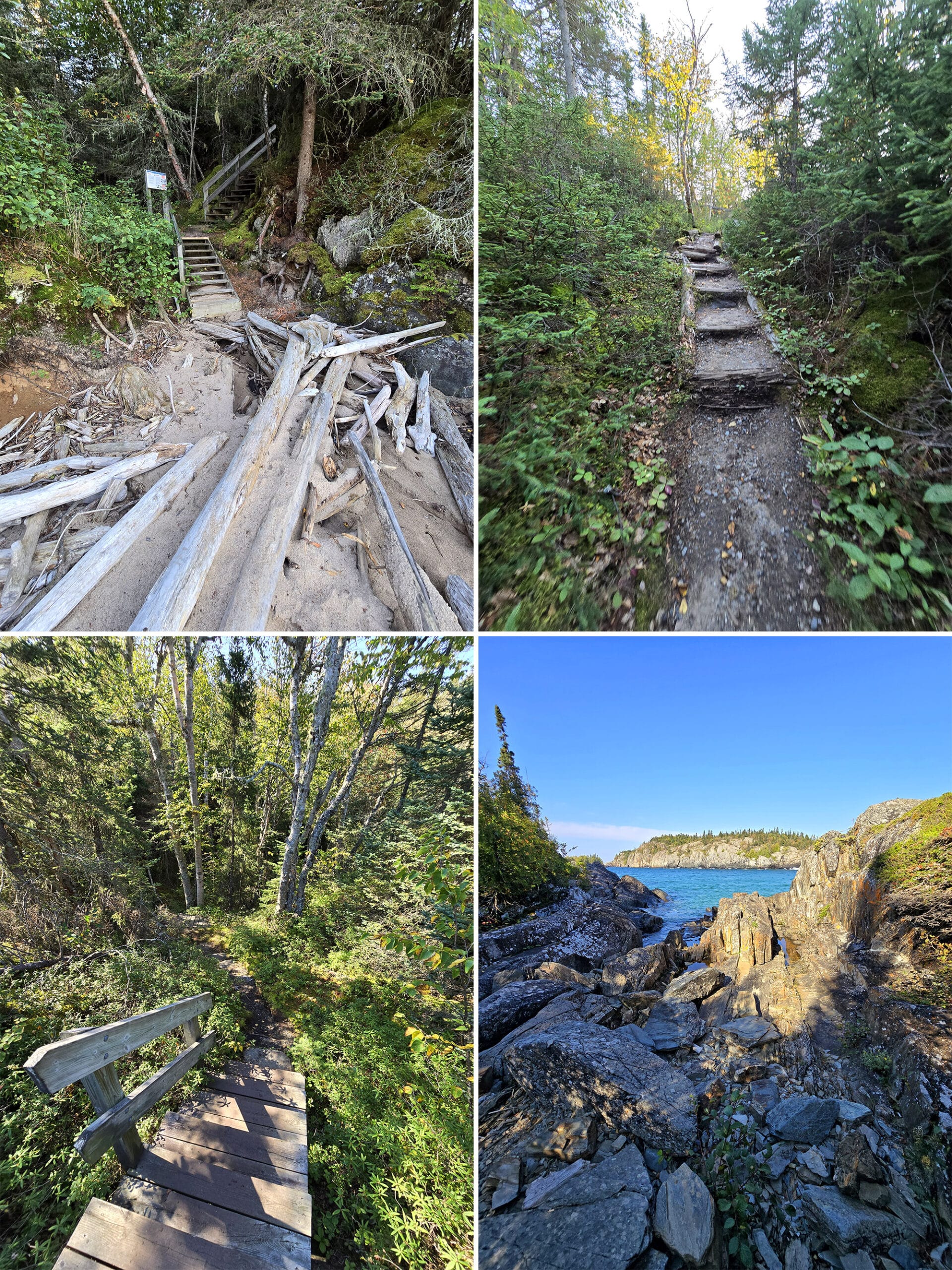 4 part image showing various views along the southern headland trail in pukaskwa national park.