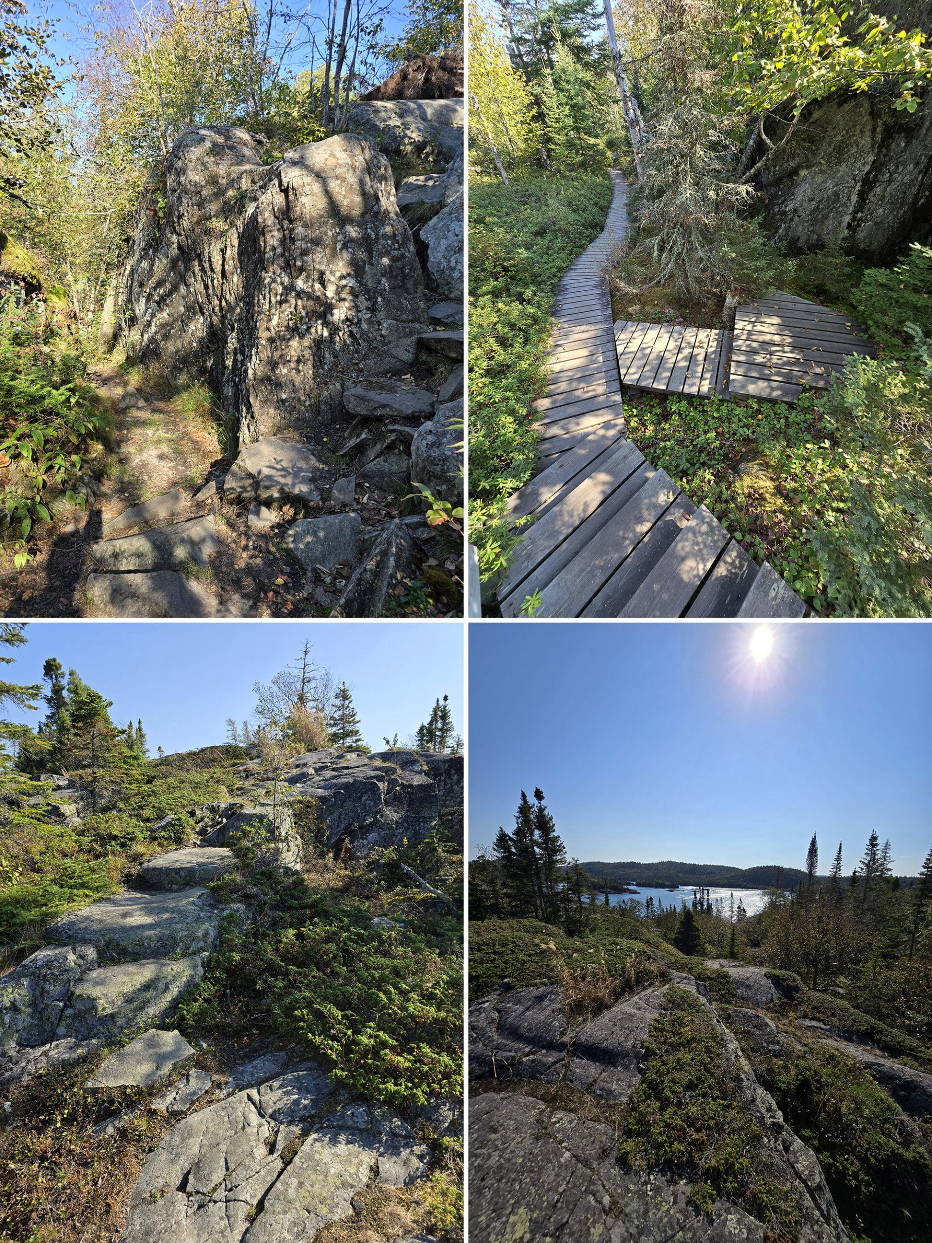 4 part image showing various views along the southern headland trail in pukaskwa national park.