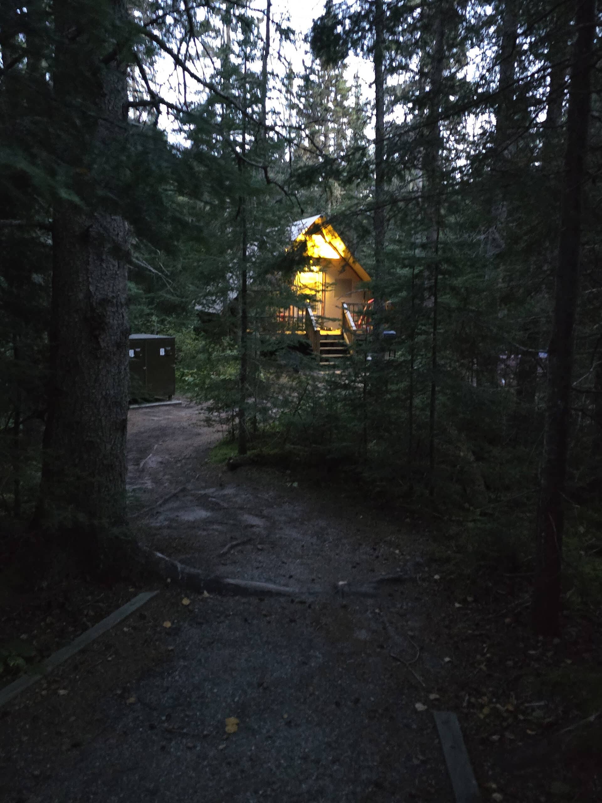 A lit cabin in the woods at night.