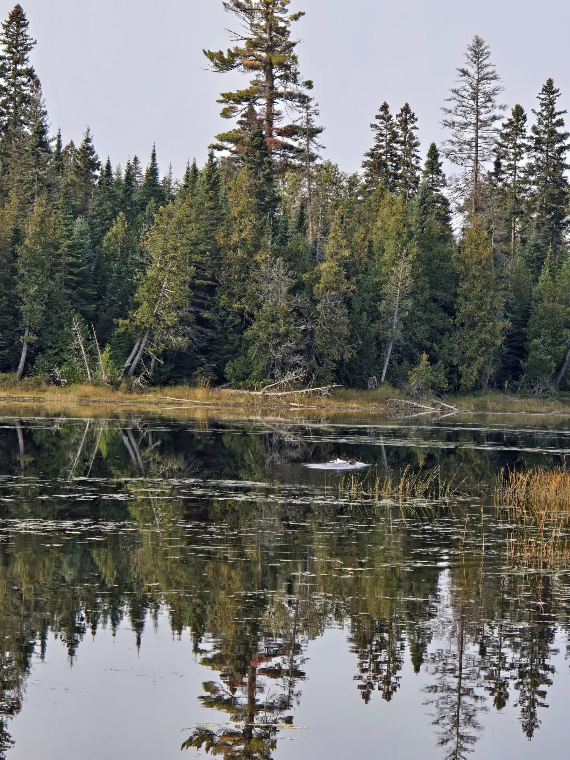 Rabbit Blanket Lake at Sunrise.