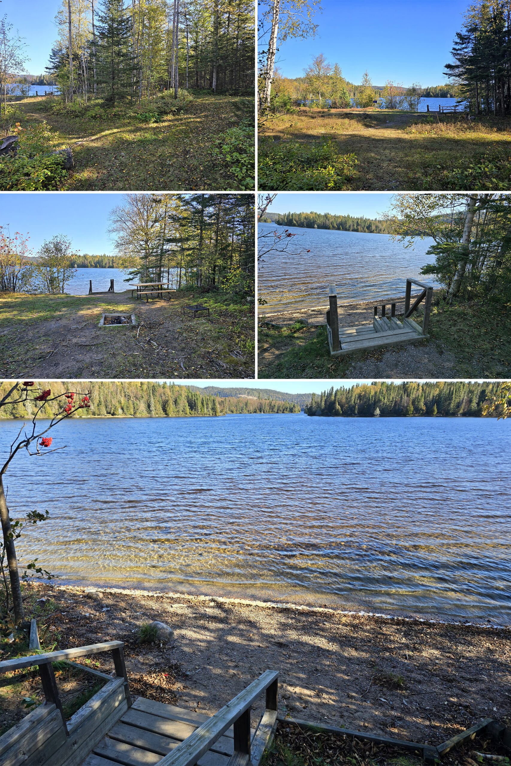 5 part image showing various views of the off leash dog area and beach at rainbow falls provincial park.