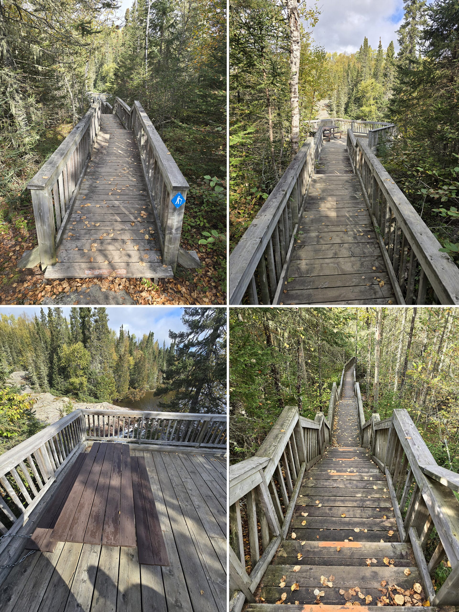 4 part image showing various views along the rainbow falls trail at rainbow falls provincial park.