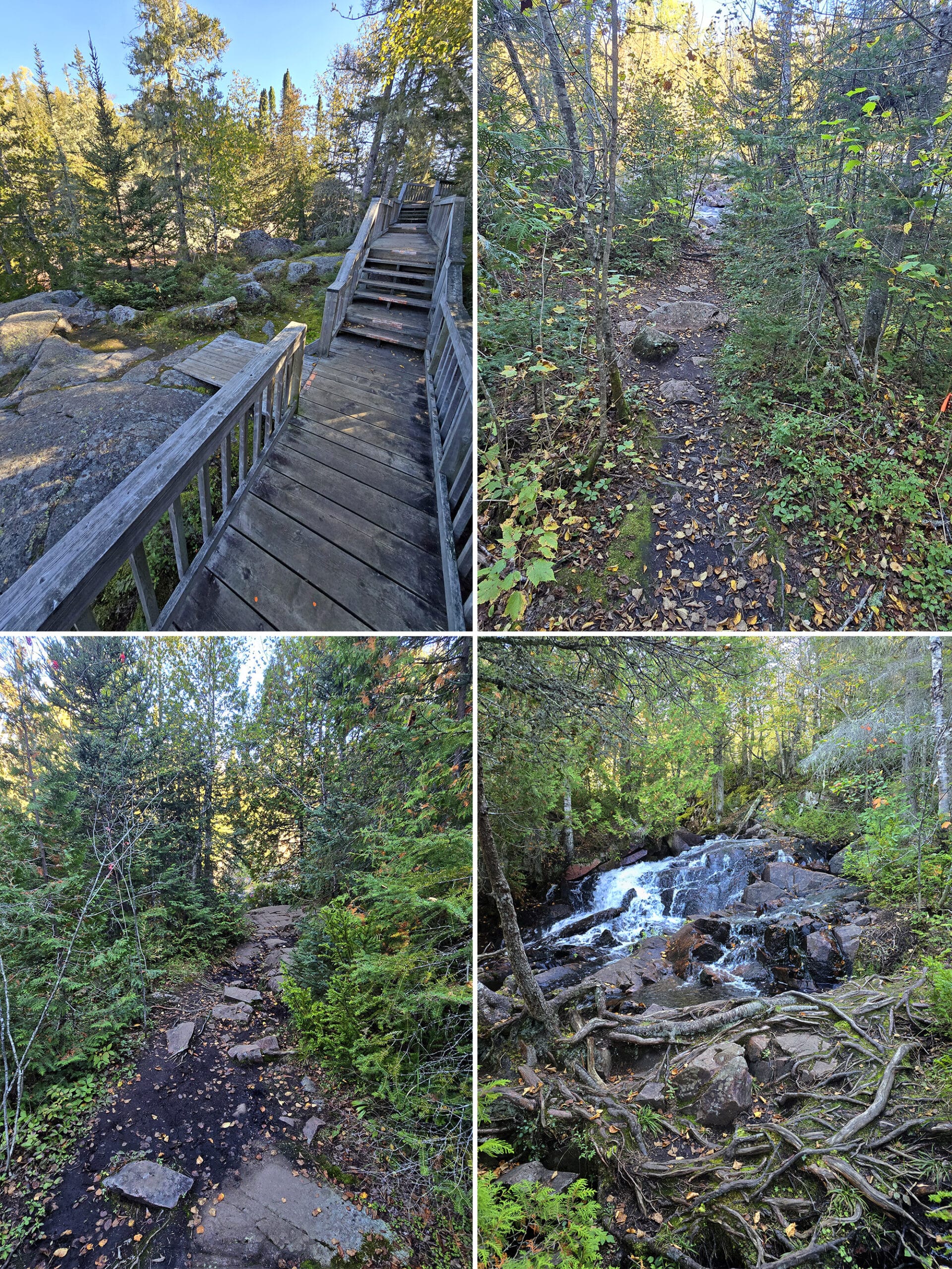 4 part image showing various views along the rainbow falls trail at rainbow falls provincial park.