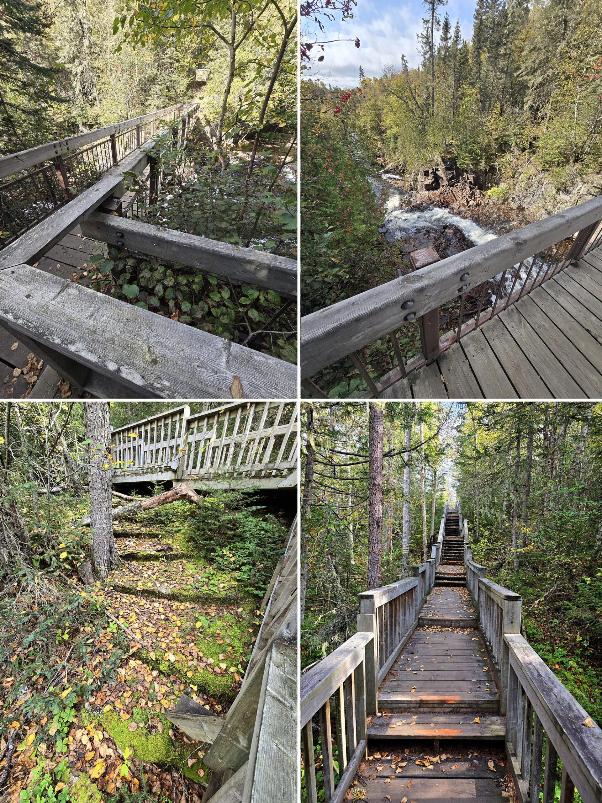 4 part image showing various views along the rainbow falls trail at rainbow falls provincial park.