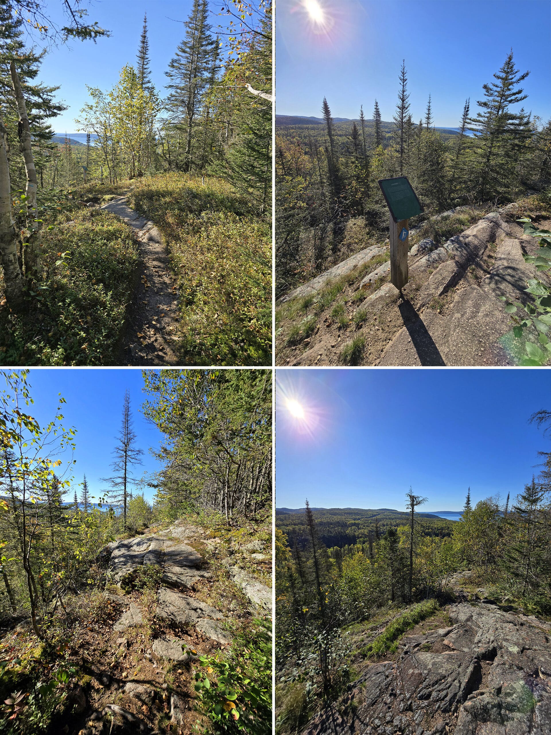 4 part image showing various views along the rainbow falls trail at rainbow falls provincial park.