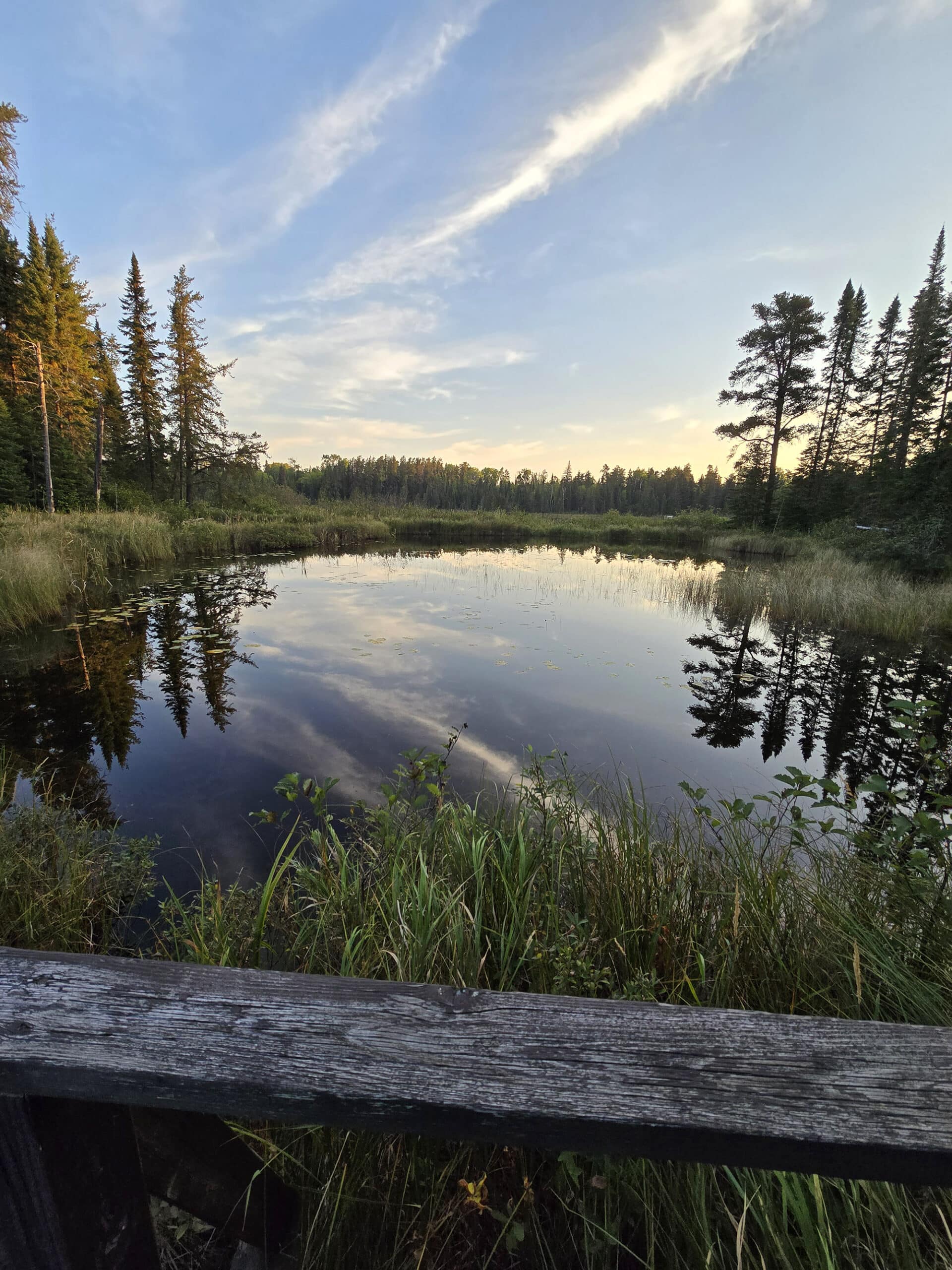 A scenic view over a still lake in white lake provincial park.