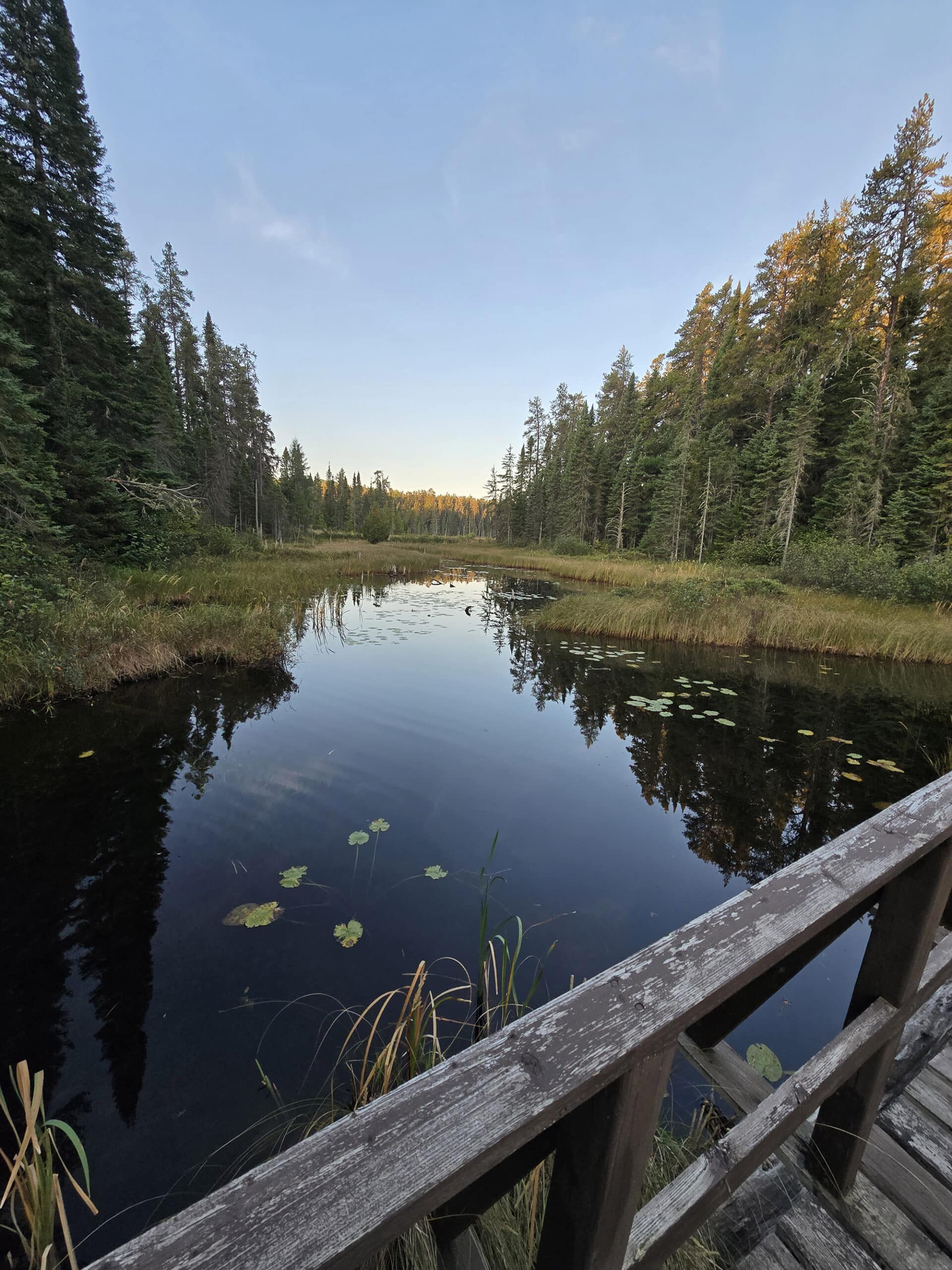 A scenic view over a still lake in white lake provincial park.