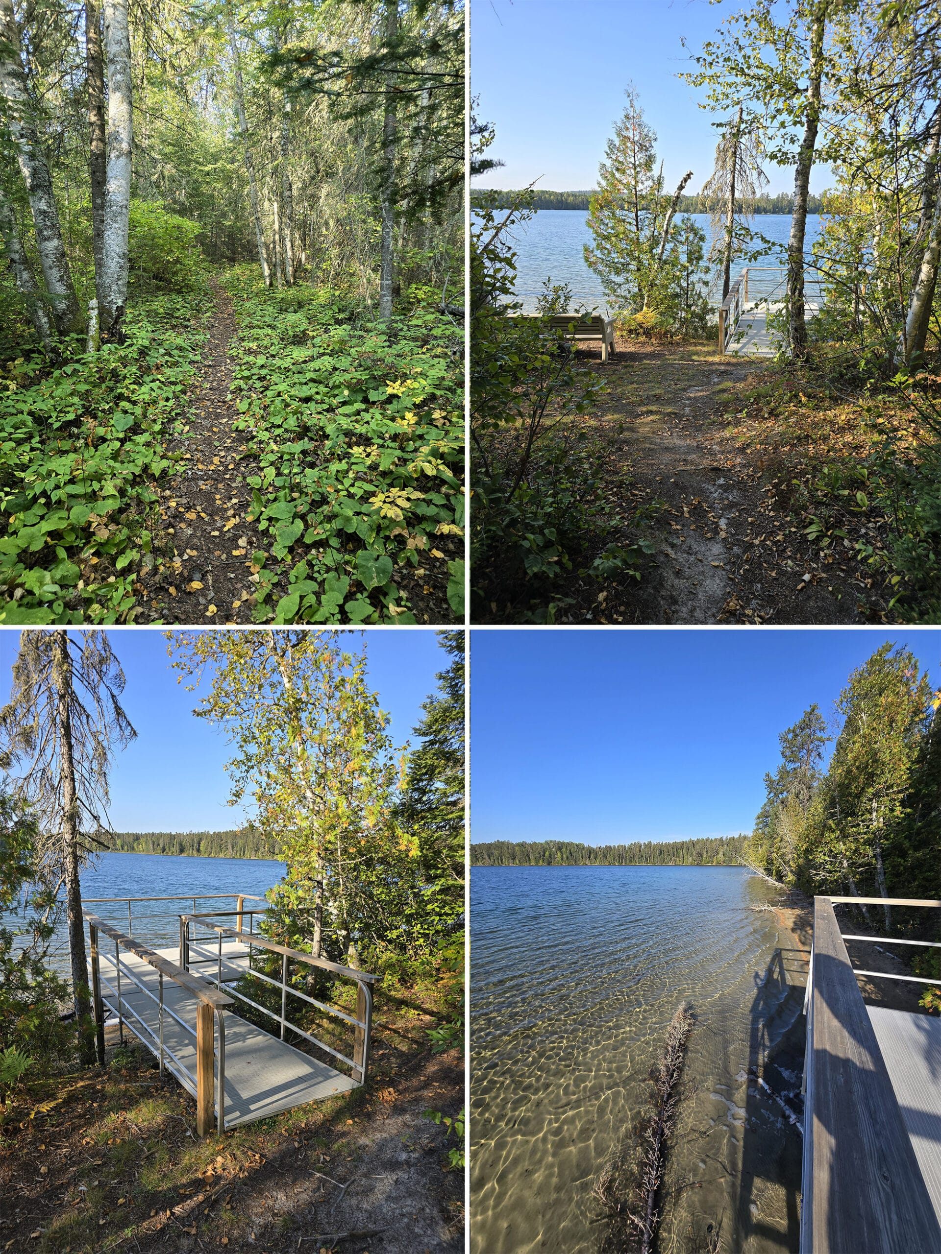 4 part image showing various views along the clearwater trail in white lake provincial park.