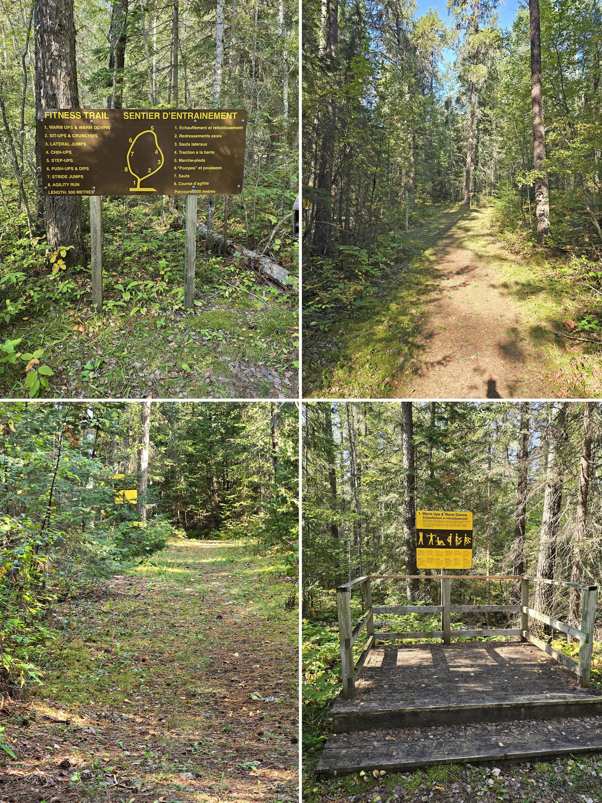 4 part image showing various views along the fitness trail in white lake provincial park.