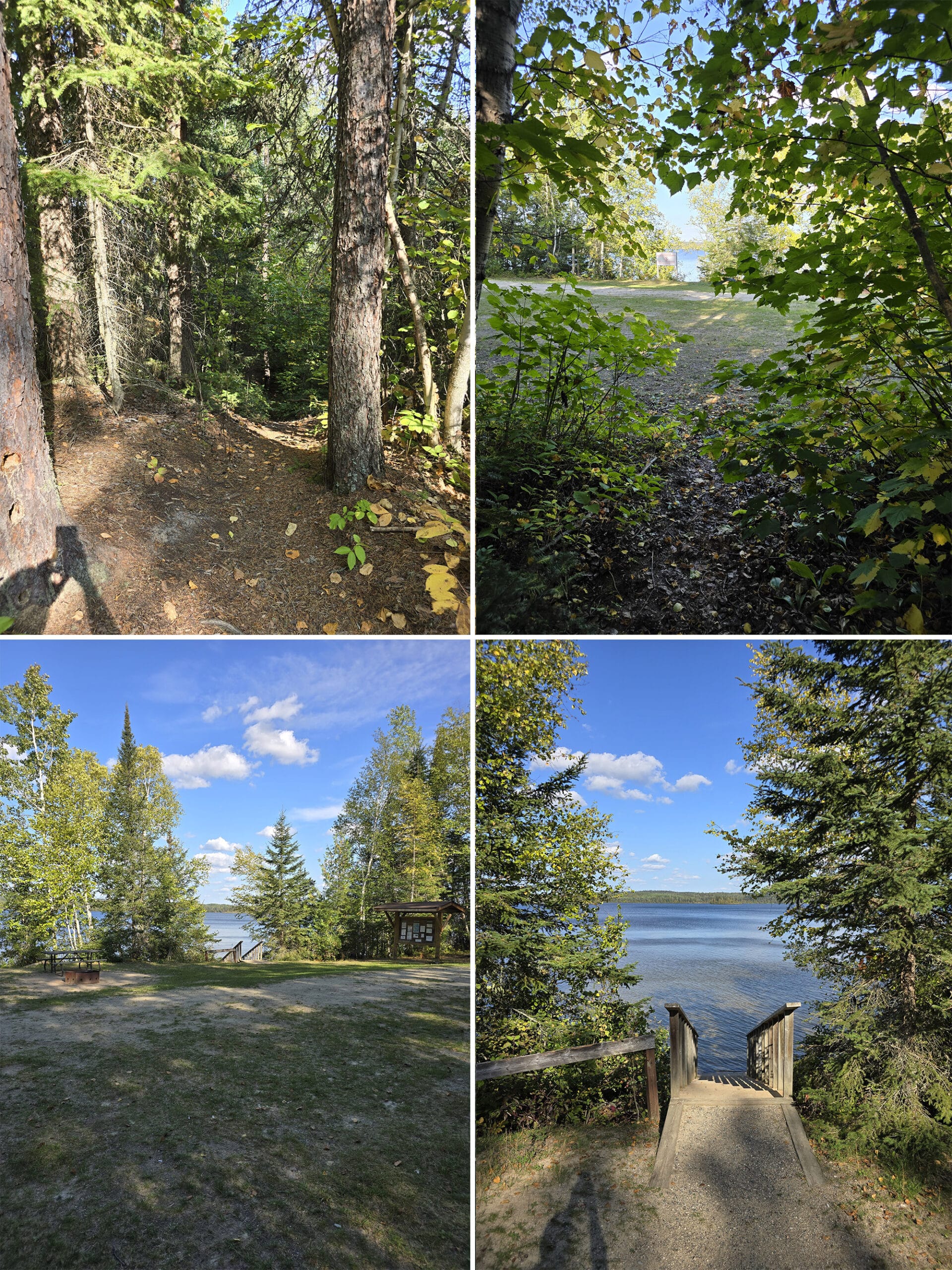 4 part image showing an overgrown trail opening out into the group camping area at white lake provincial park.